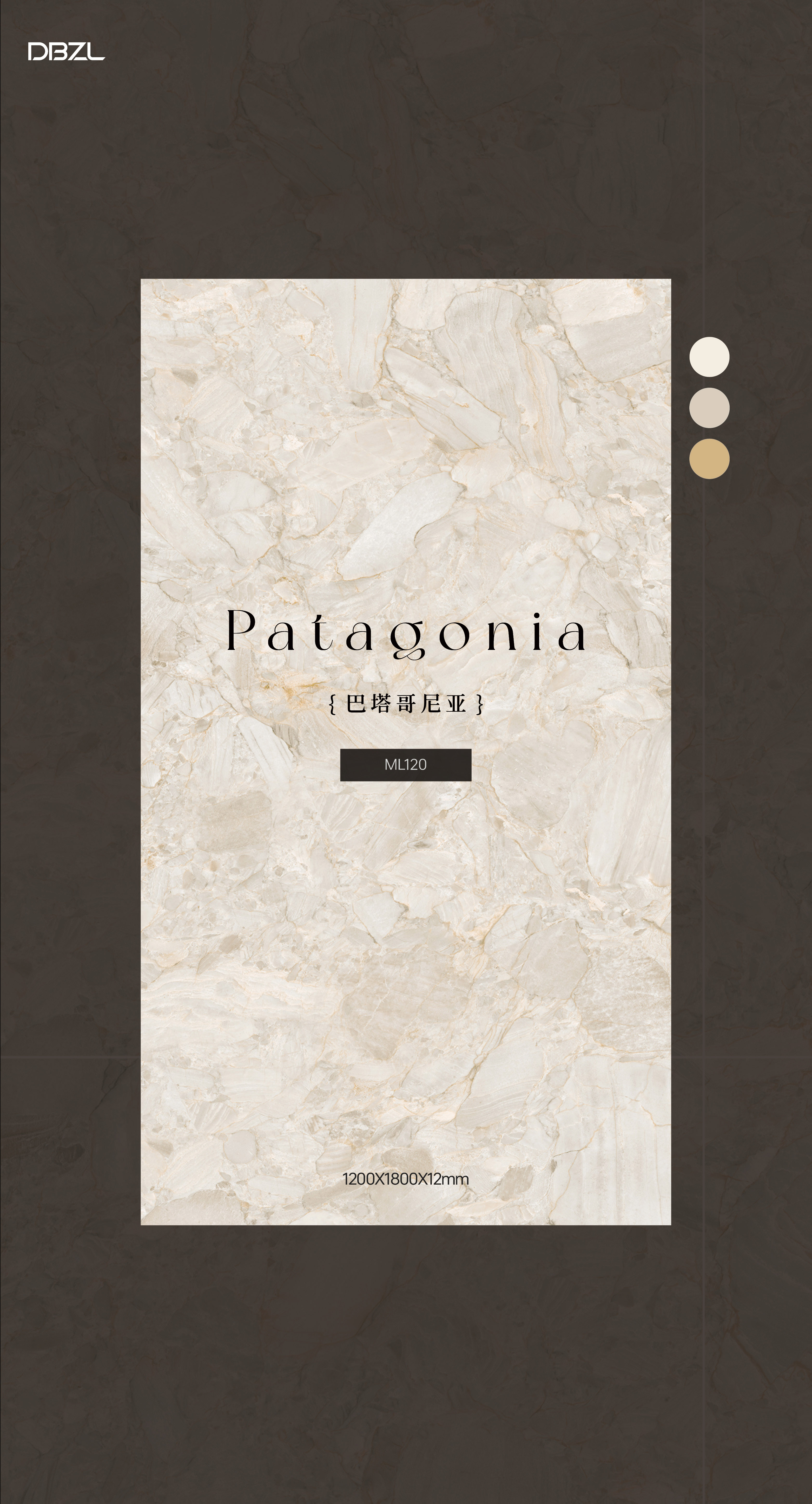 Patagonia ML120 image 2