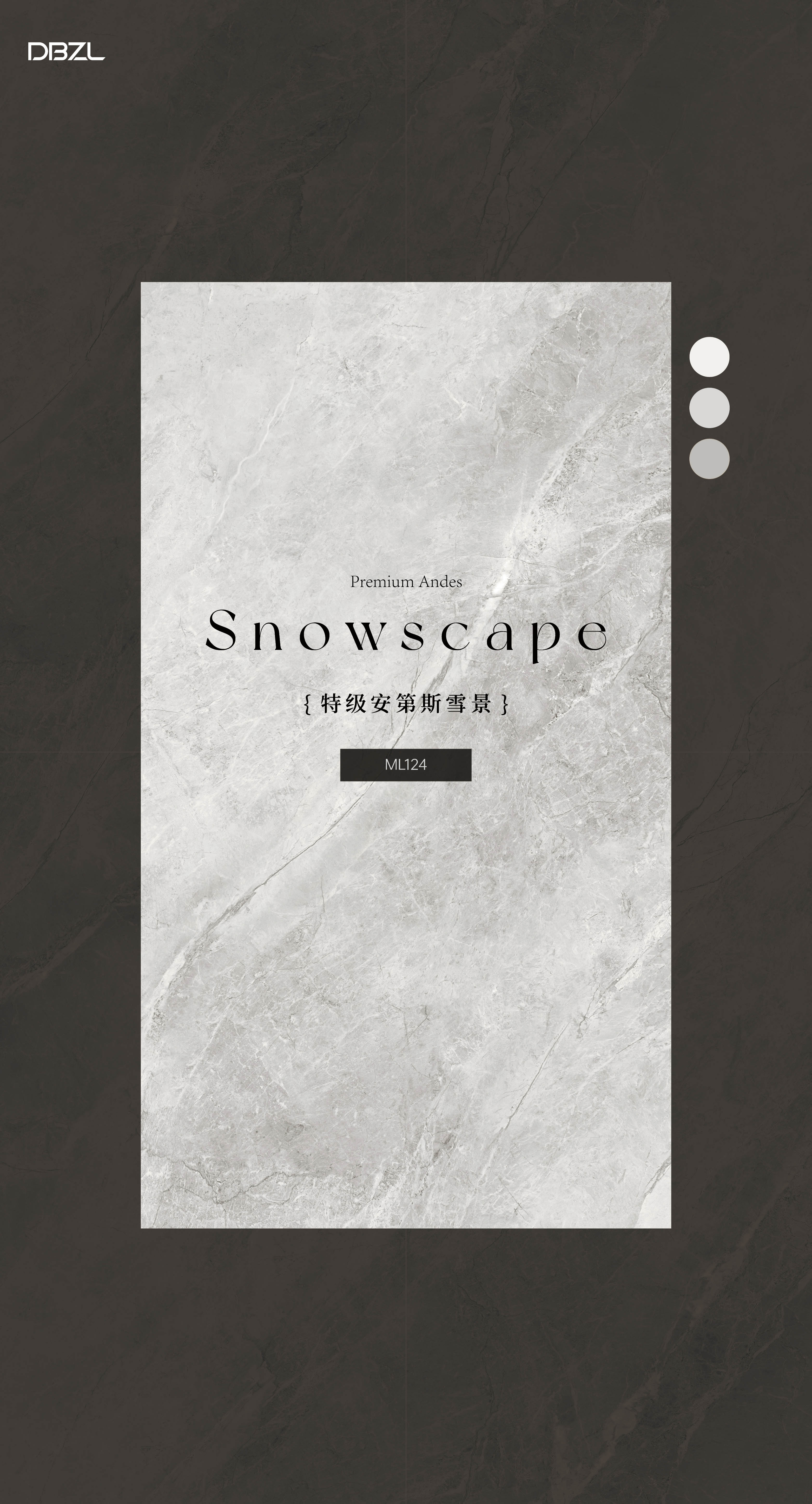 Special Andes Snow Scenery ML124 image 2