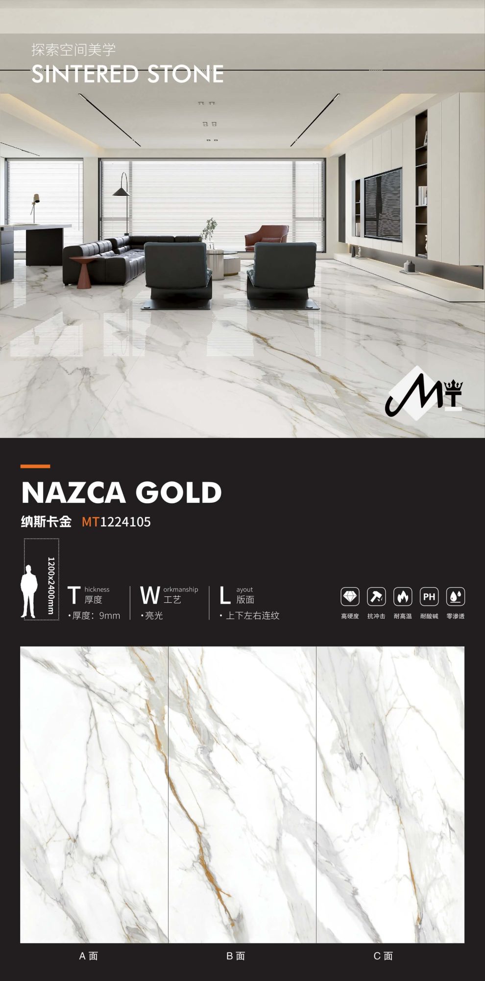 Nazca Gold MT1224105 image 1