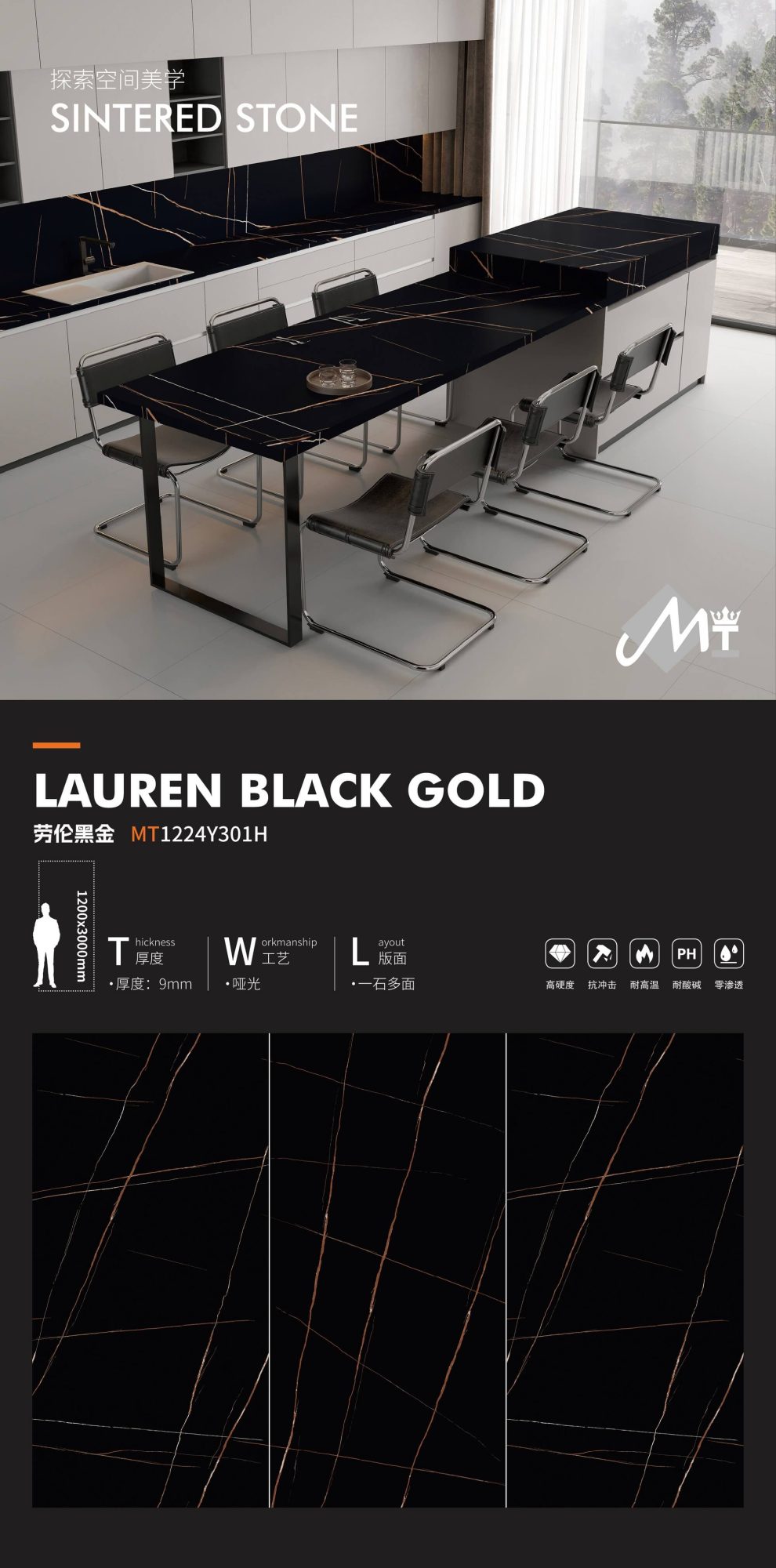 Lauren Black Gold MT1224Y301H image 1