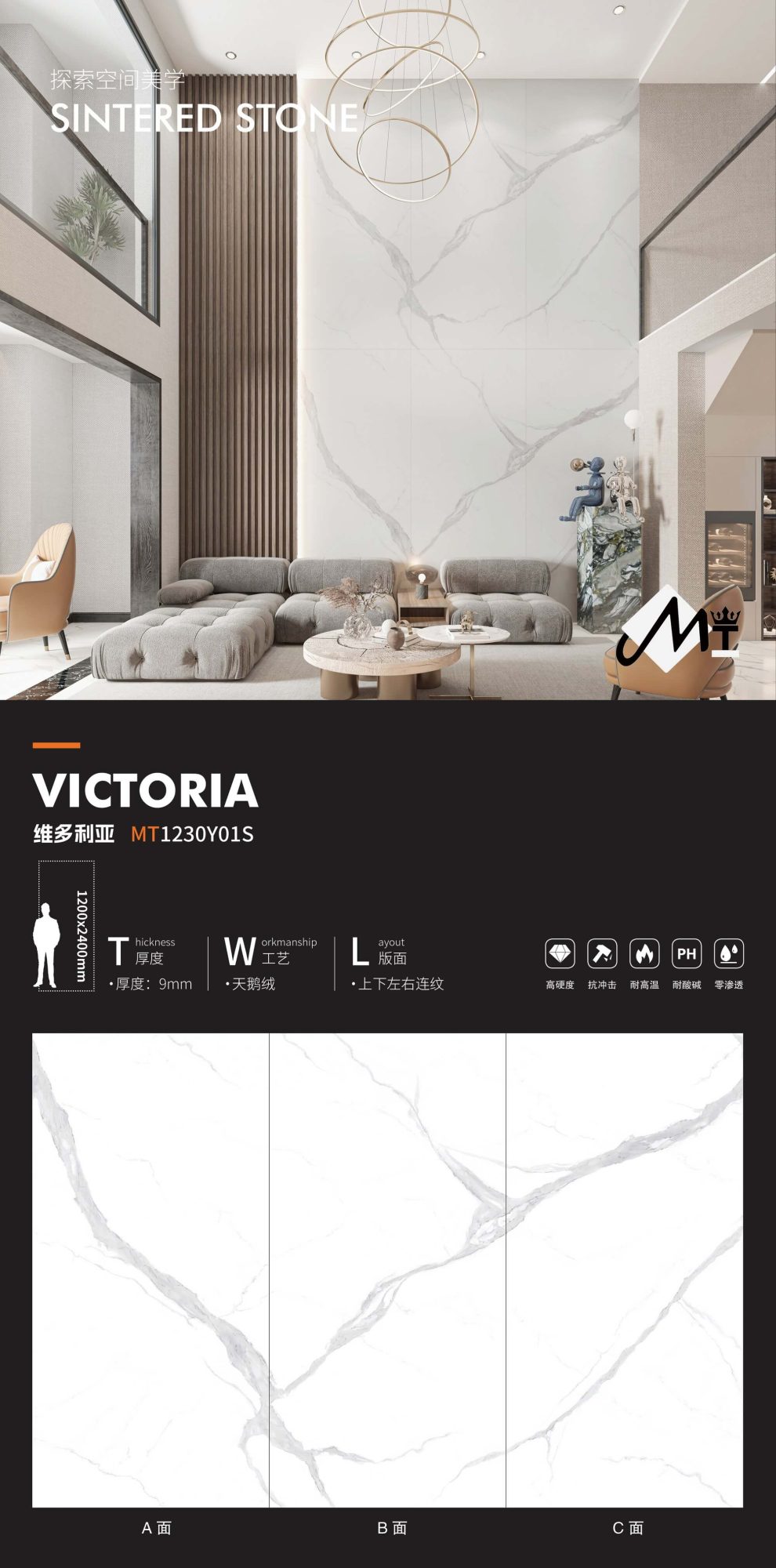 victoria MT1224Y801S image 1
