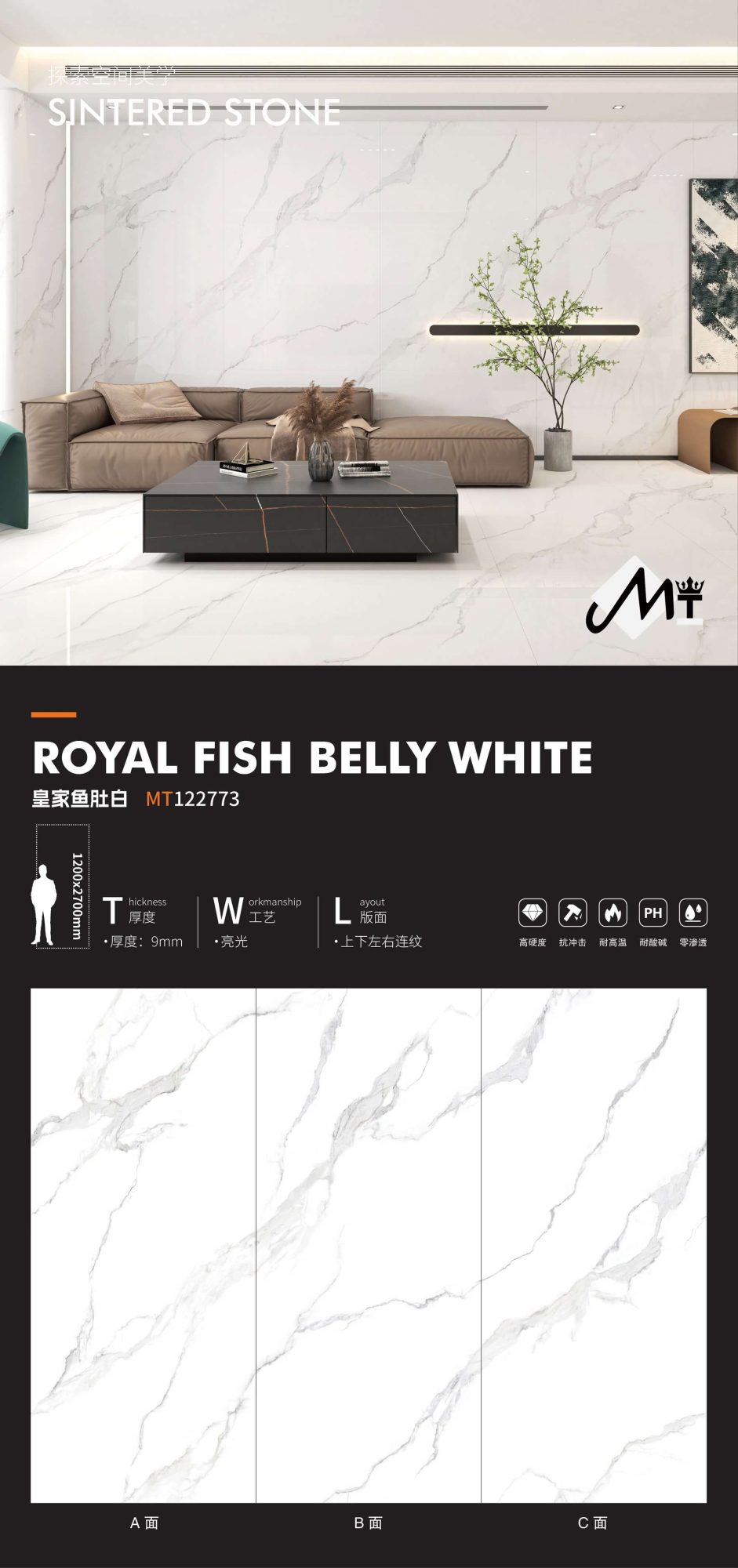 ventre de poisson royal blanc MT122773 image 1