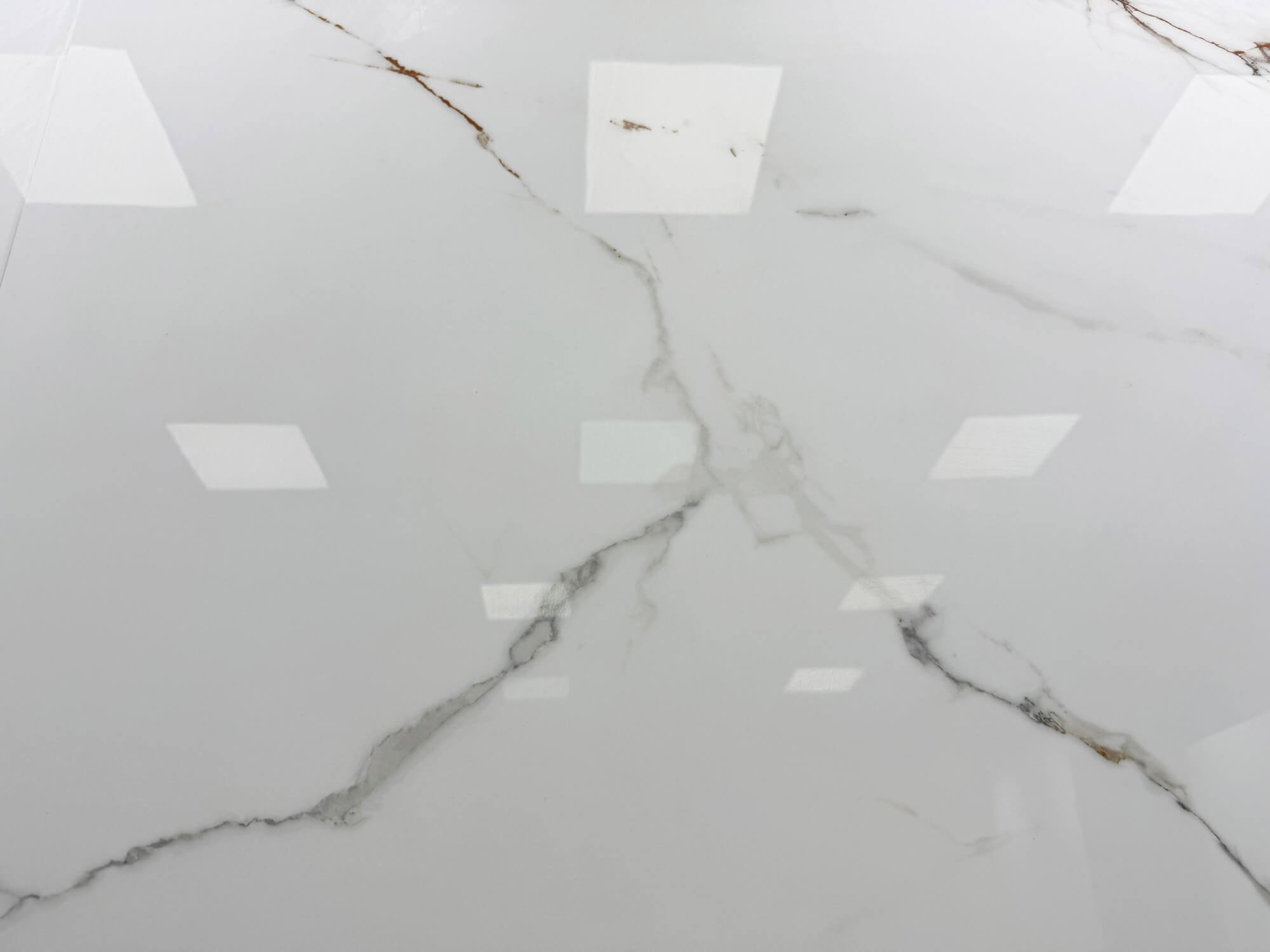 Fischbauchgold MT122774D image 3