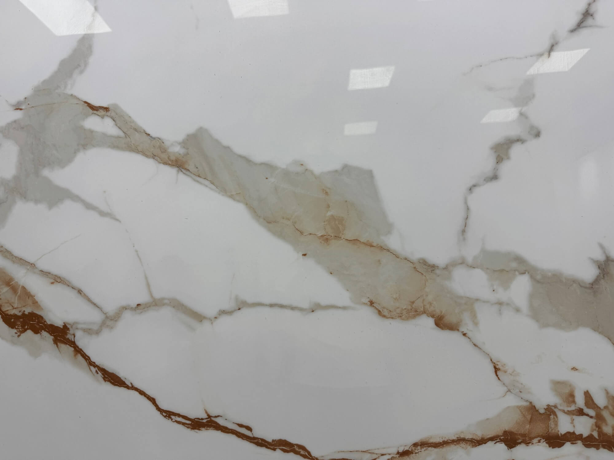 Fischbauchgold MT122774D image 4