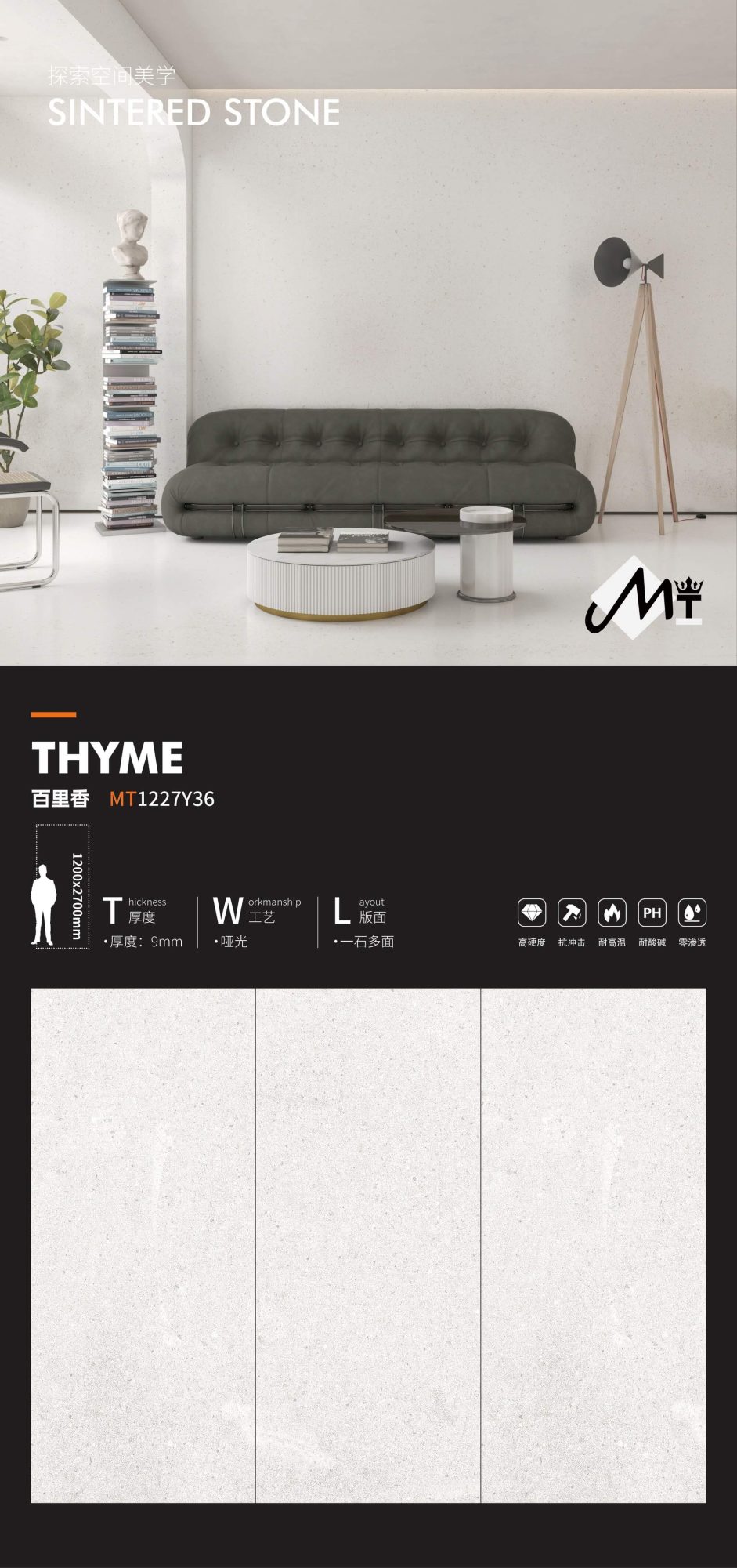 thyme MT1227Y36 image 1