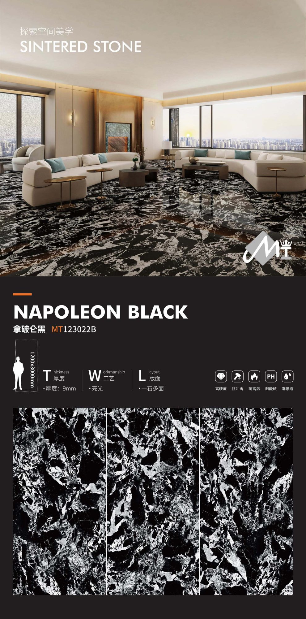 Napoleon schwarz MT123022B image 1