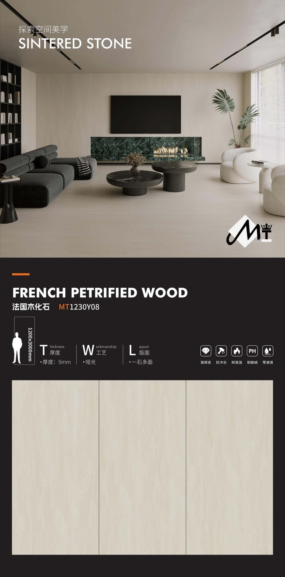 French petrified wood MT1230Y08  image 1