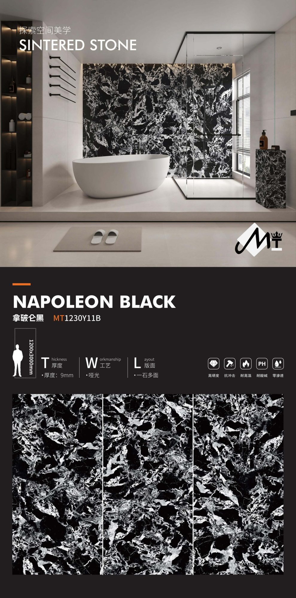 Napoleon black MT1230Y11B  image 1
