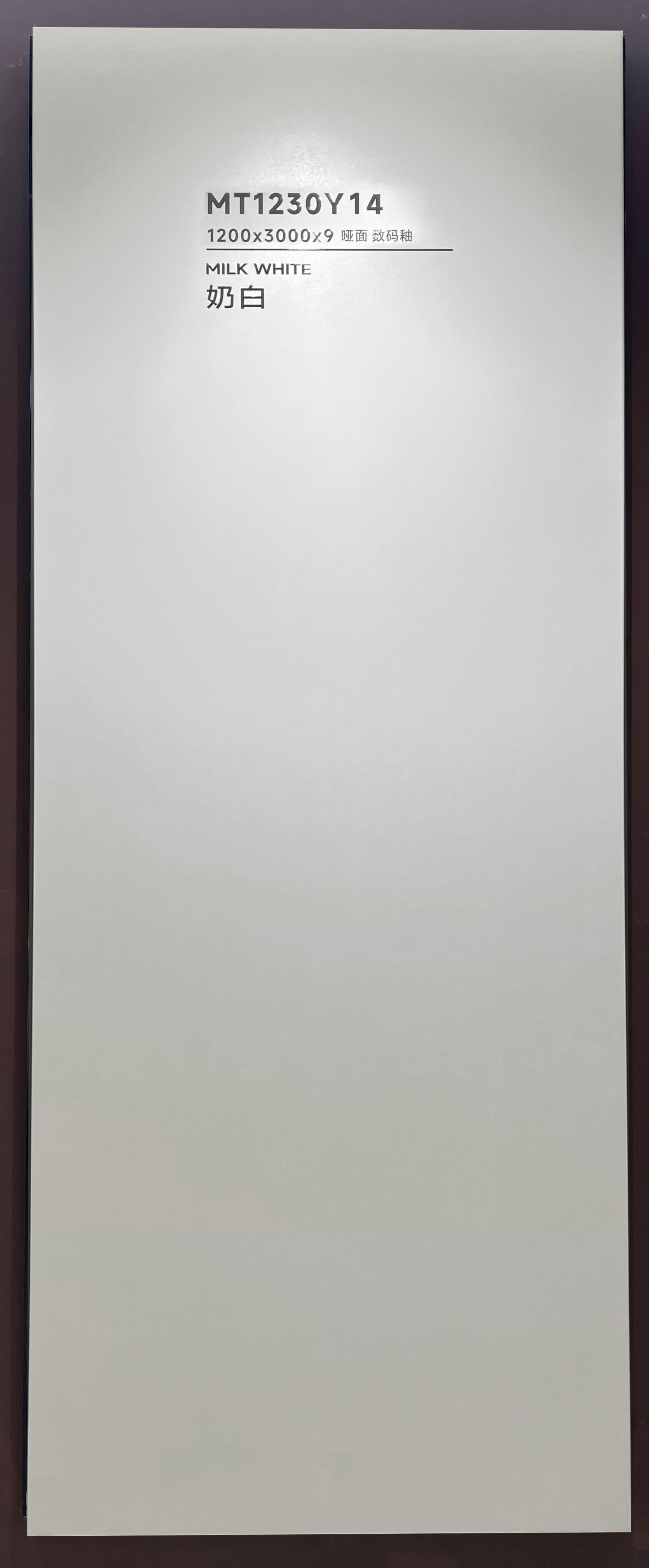 Blanc laiteux MT1230Y14 image 2