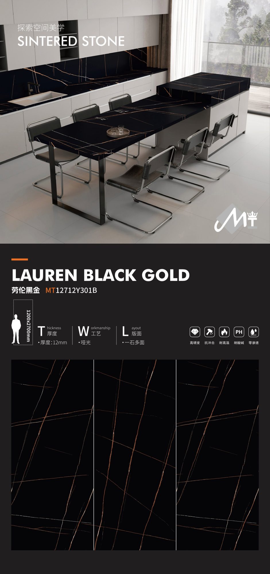 Lauren Black Gold MT12712Y301B image 1