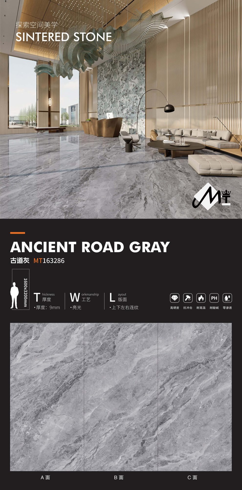 Camino antiguo gris MT163286 image 1