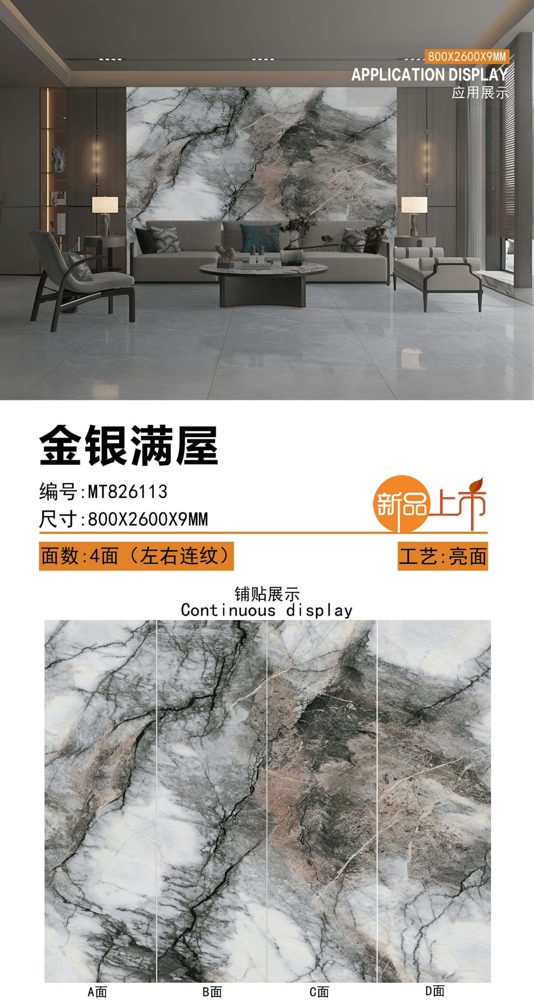 Casa piena d'oro e d'argento MT826113 image 1