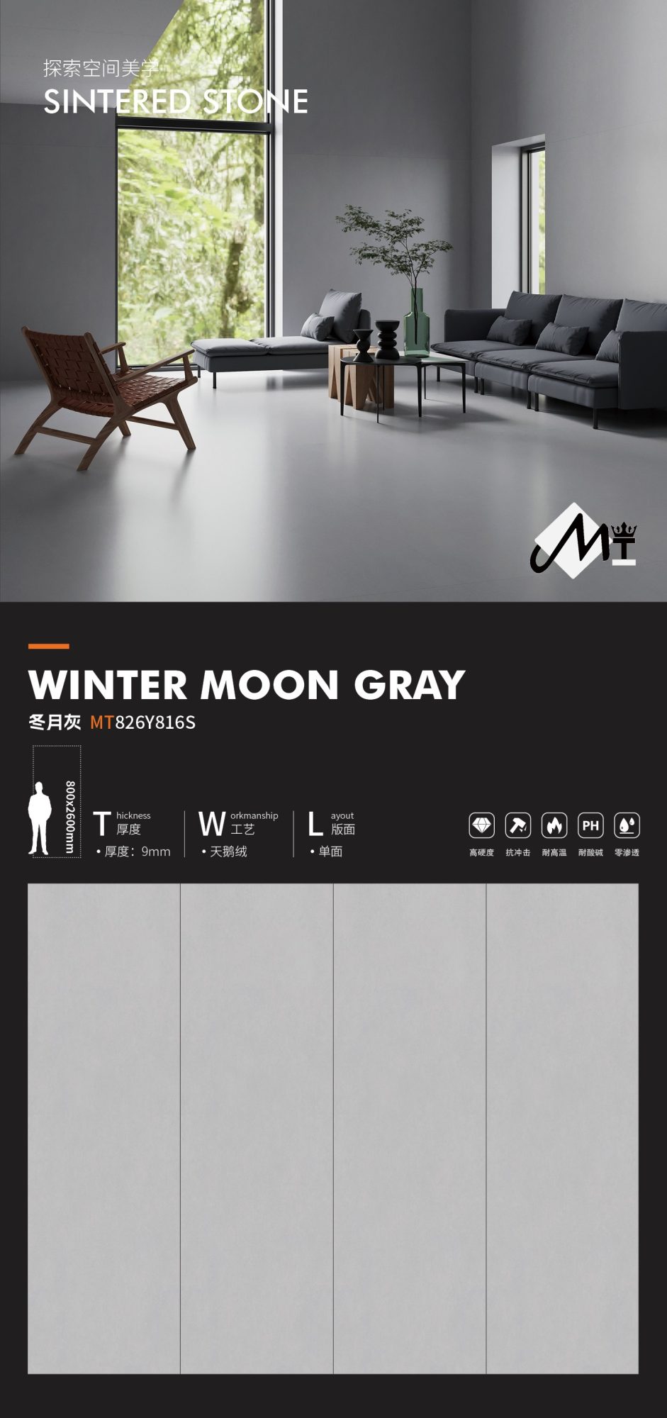 gris luna de invierno MT826Y816S image 1