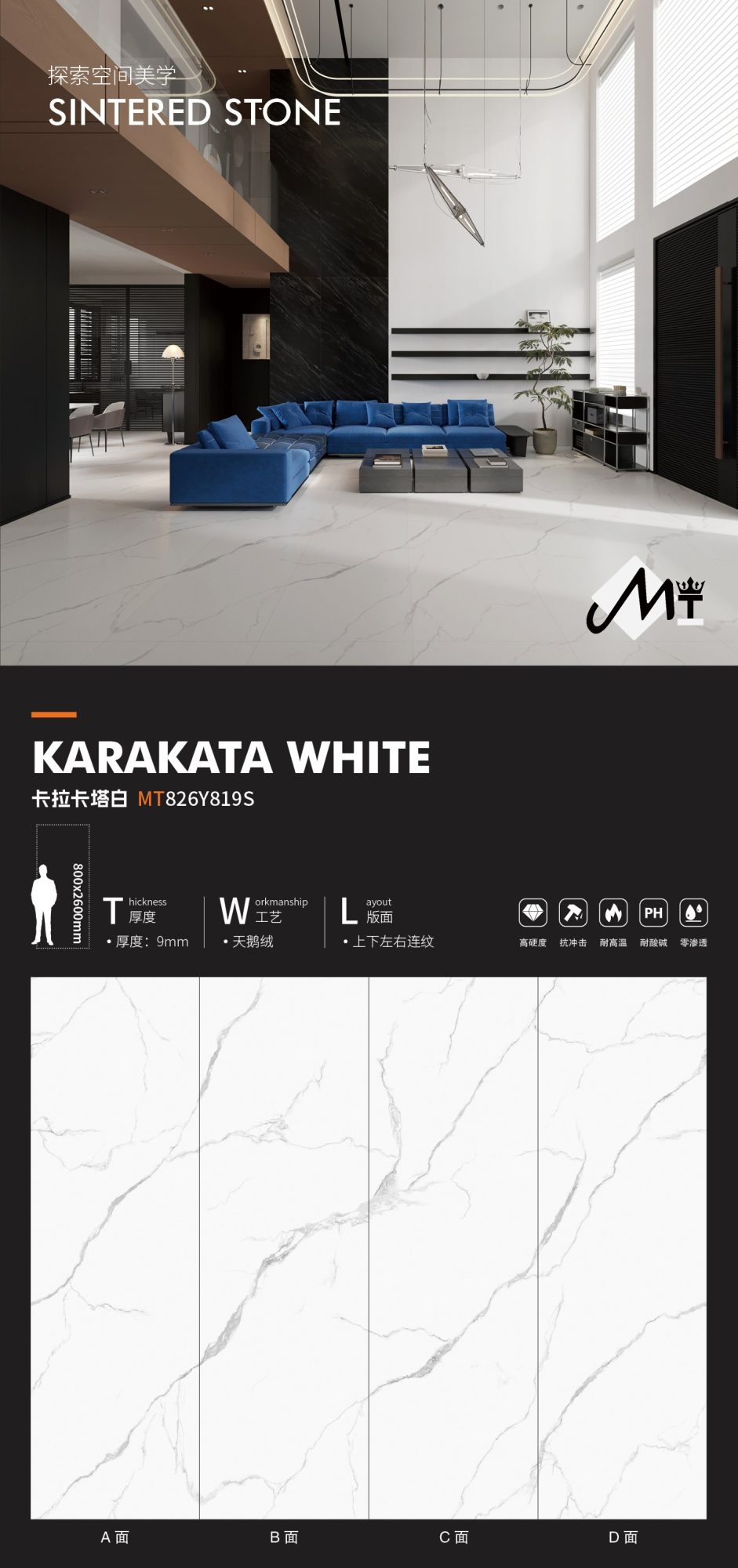 Calacatta White MT826Y819S image 1