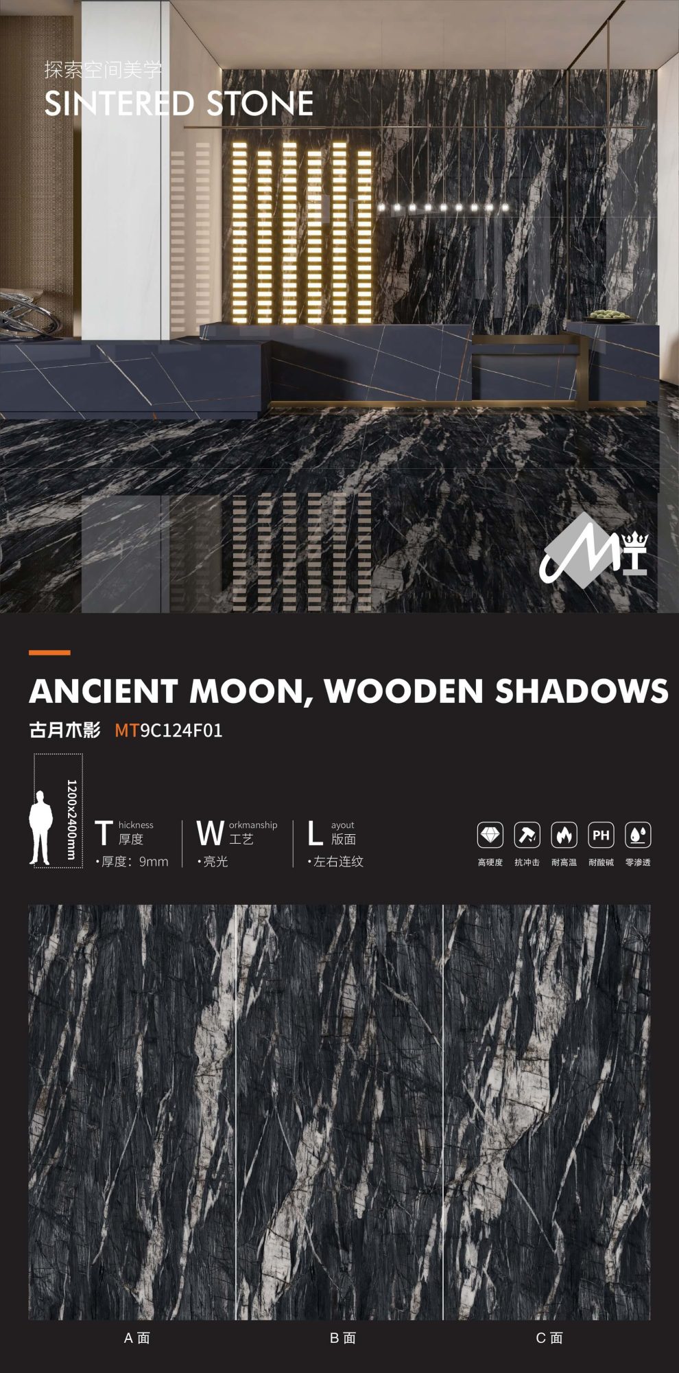 ancient wood moon shadow MT9C124F01 image 1