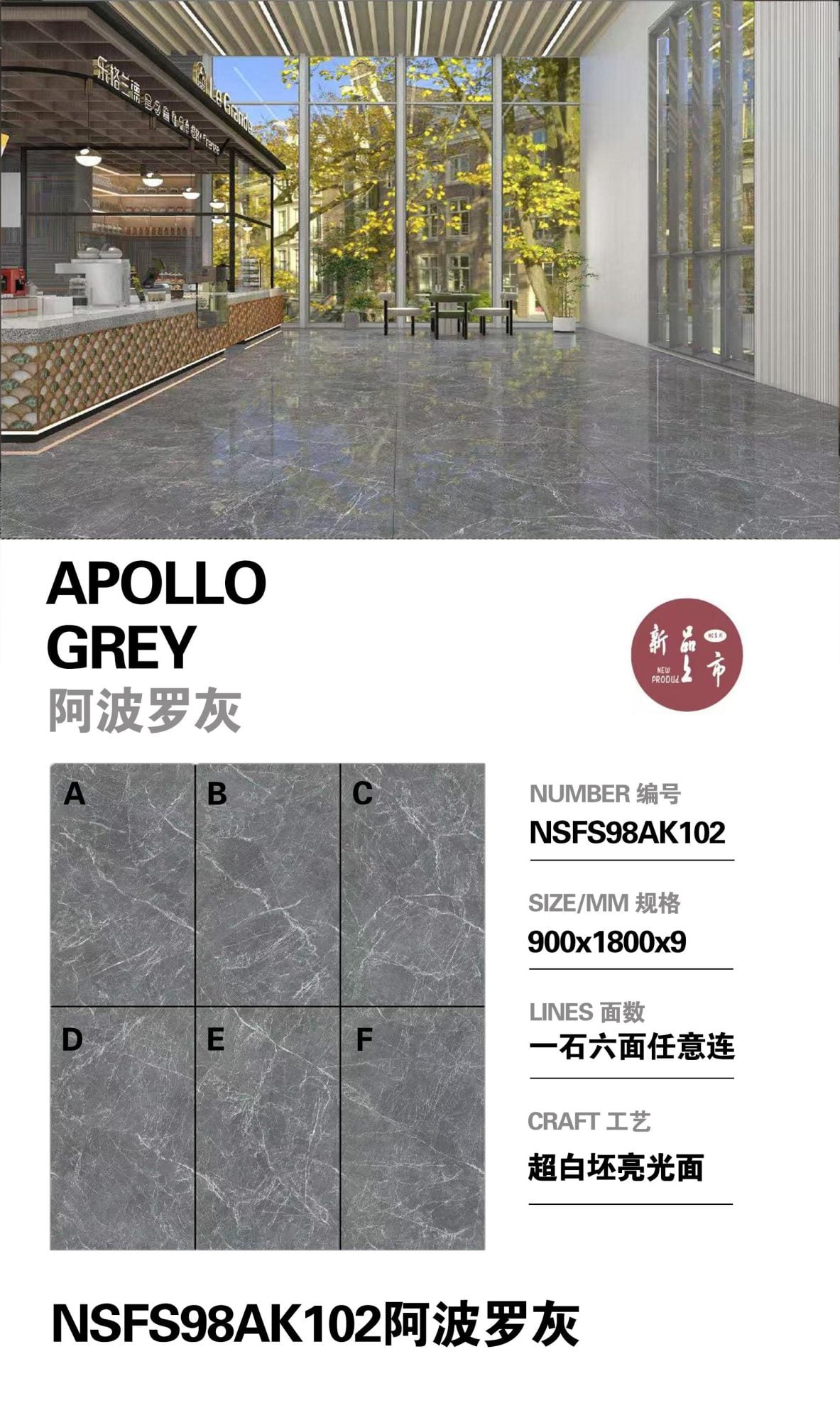 Apollo Gray NSFS98AK102 image 1