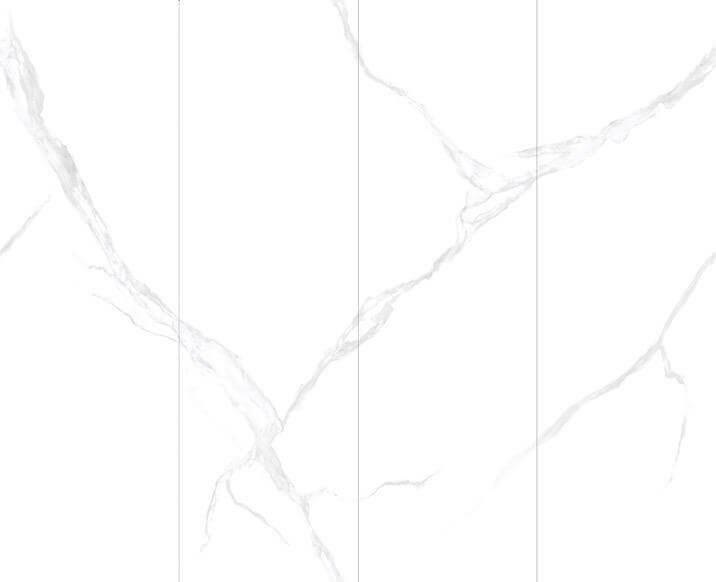 维多利亚 QS9270902 image 2