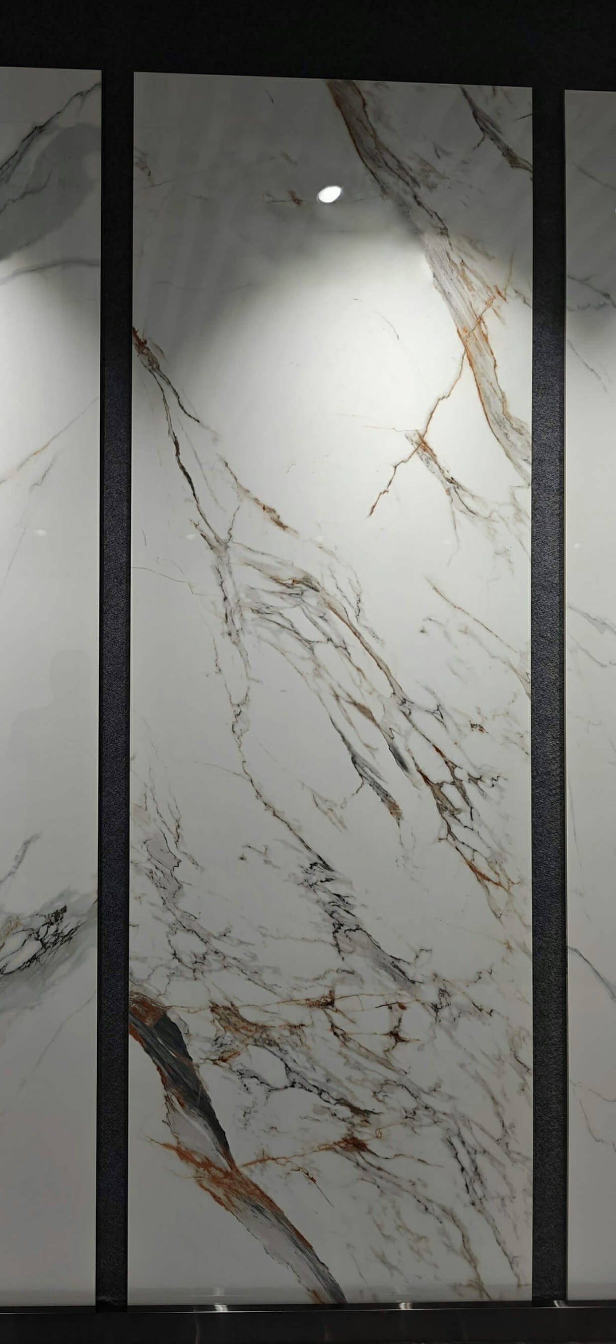 雕刻鱼肚金 QS9270974 image 3