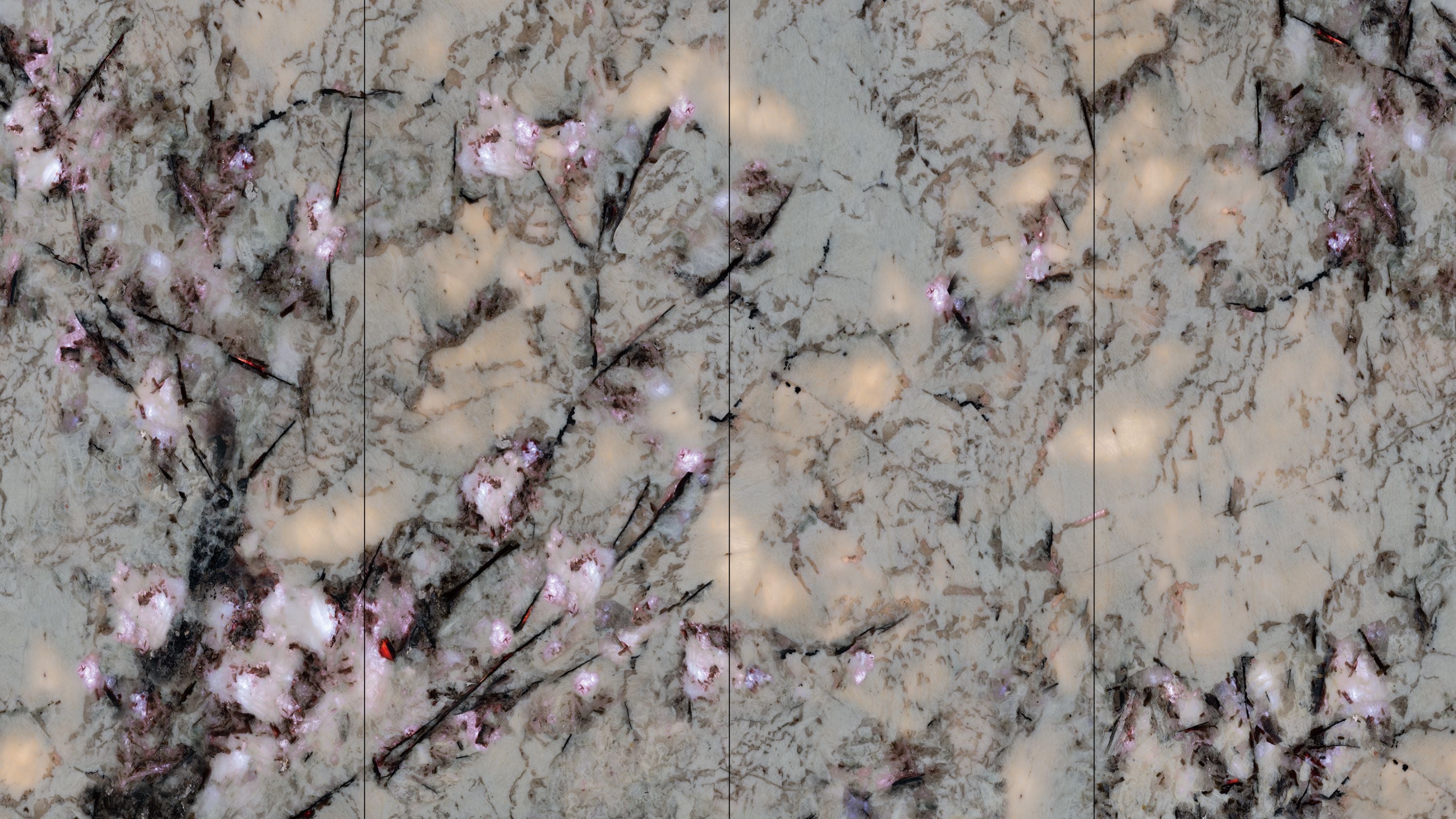 paon violet QZT1227610 image 2