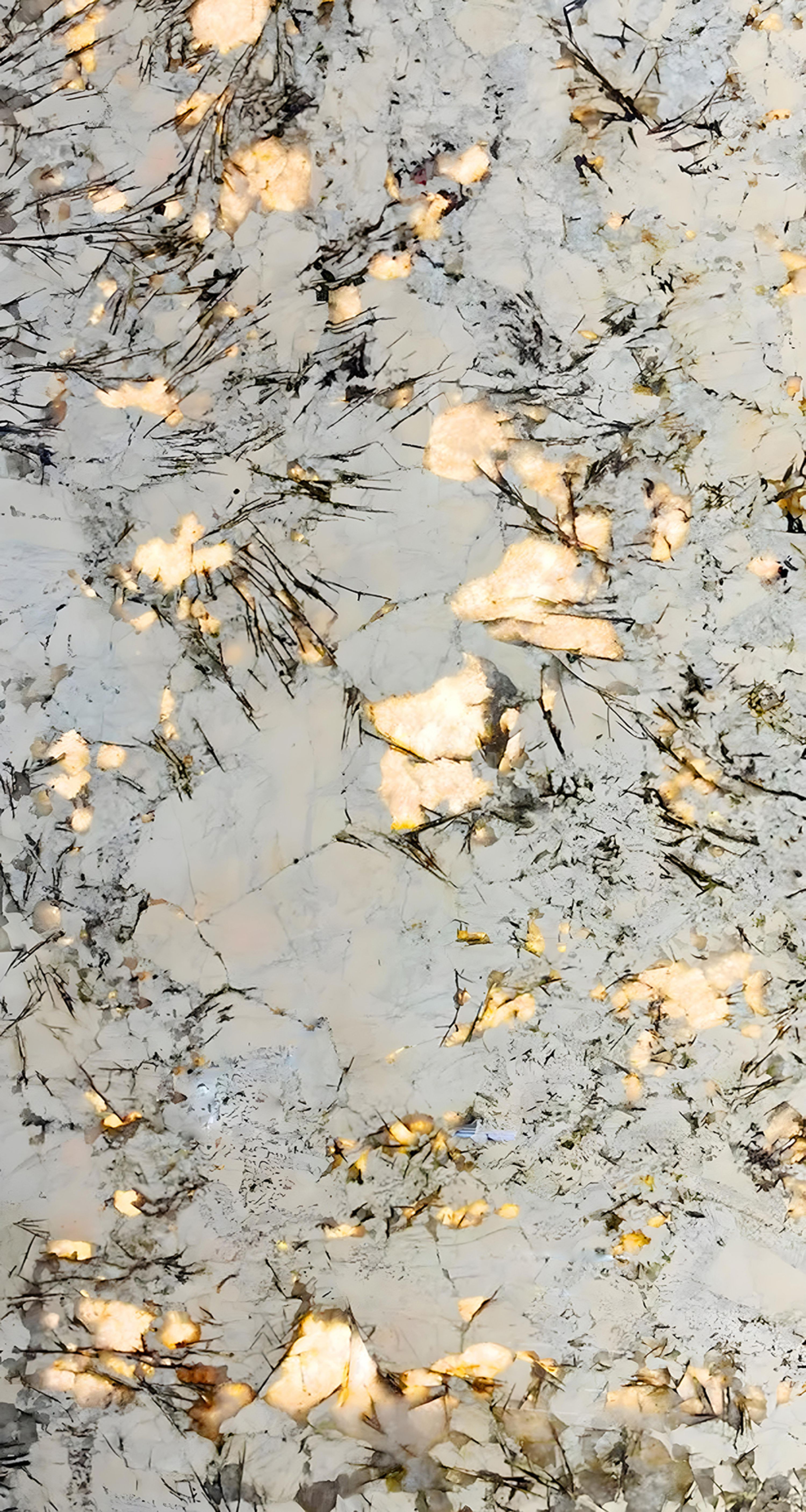 lumière des étoiles QZT1630915 image 2