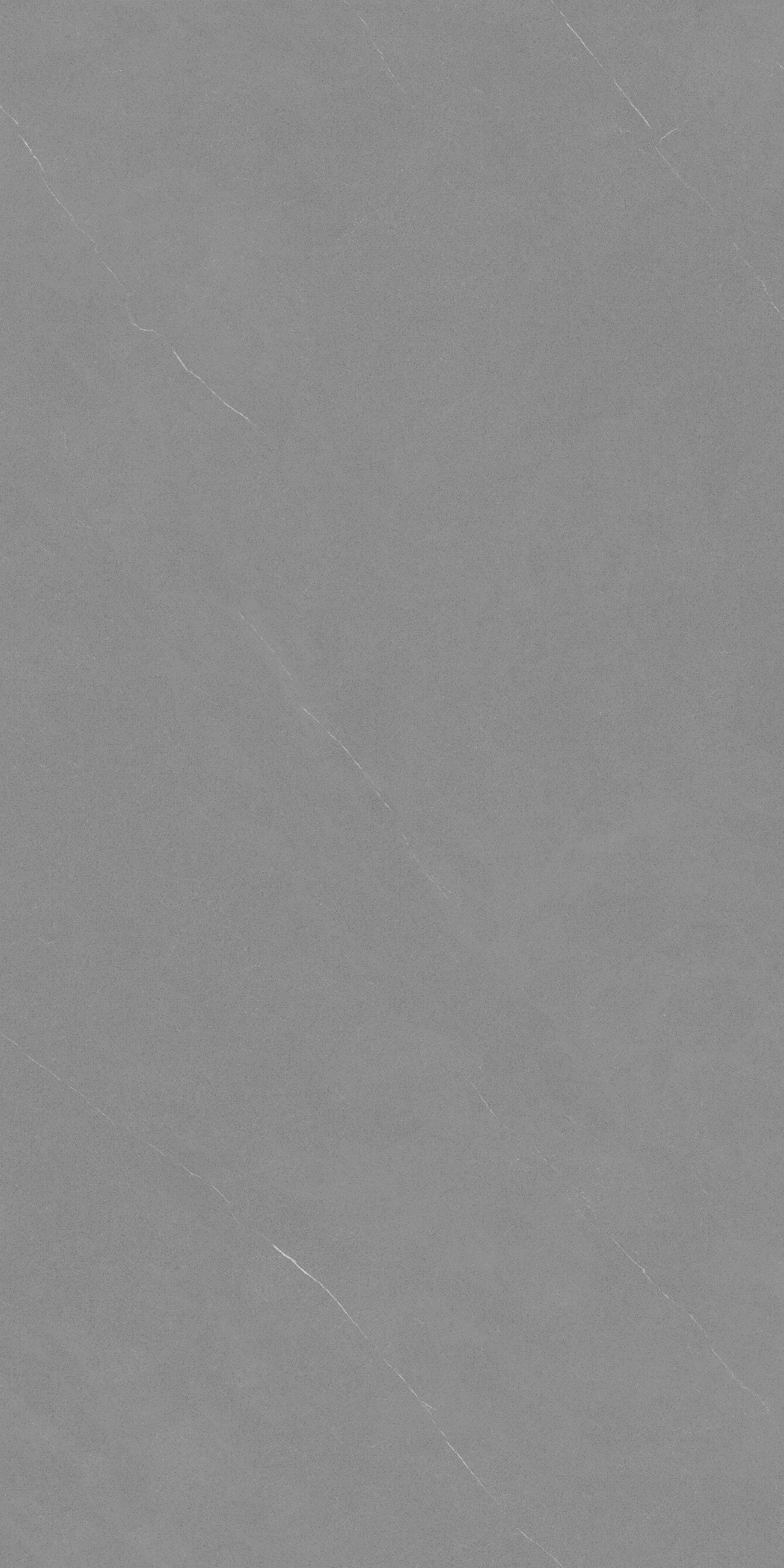 洛克斯中灰 RFL6903 image 2