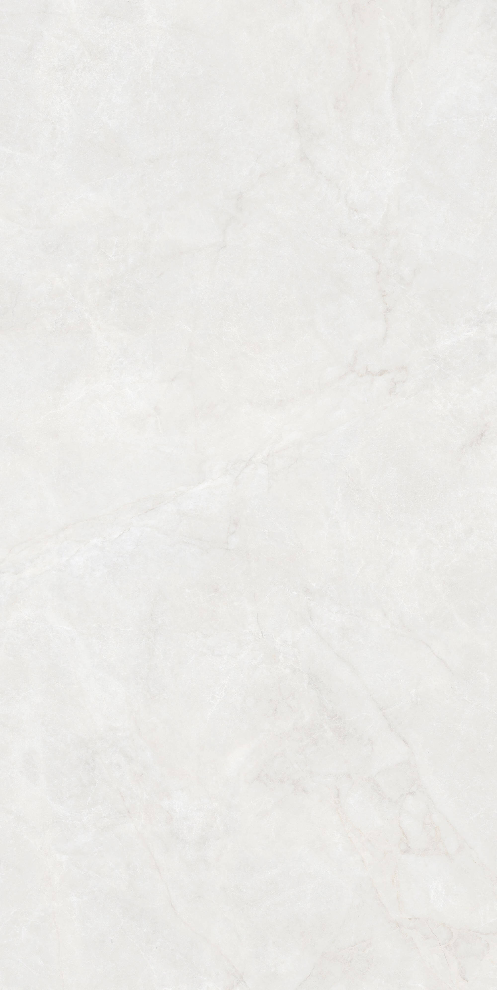 Elisabetta RK6702 image 2