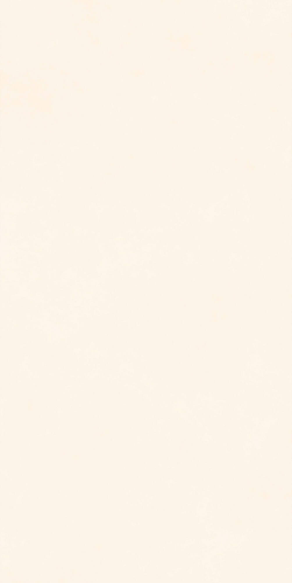 beige cemento RL9102 image 2