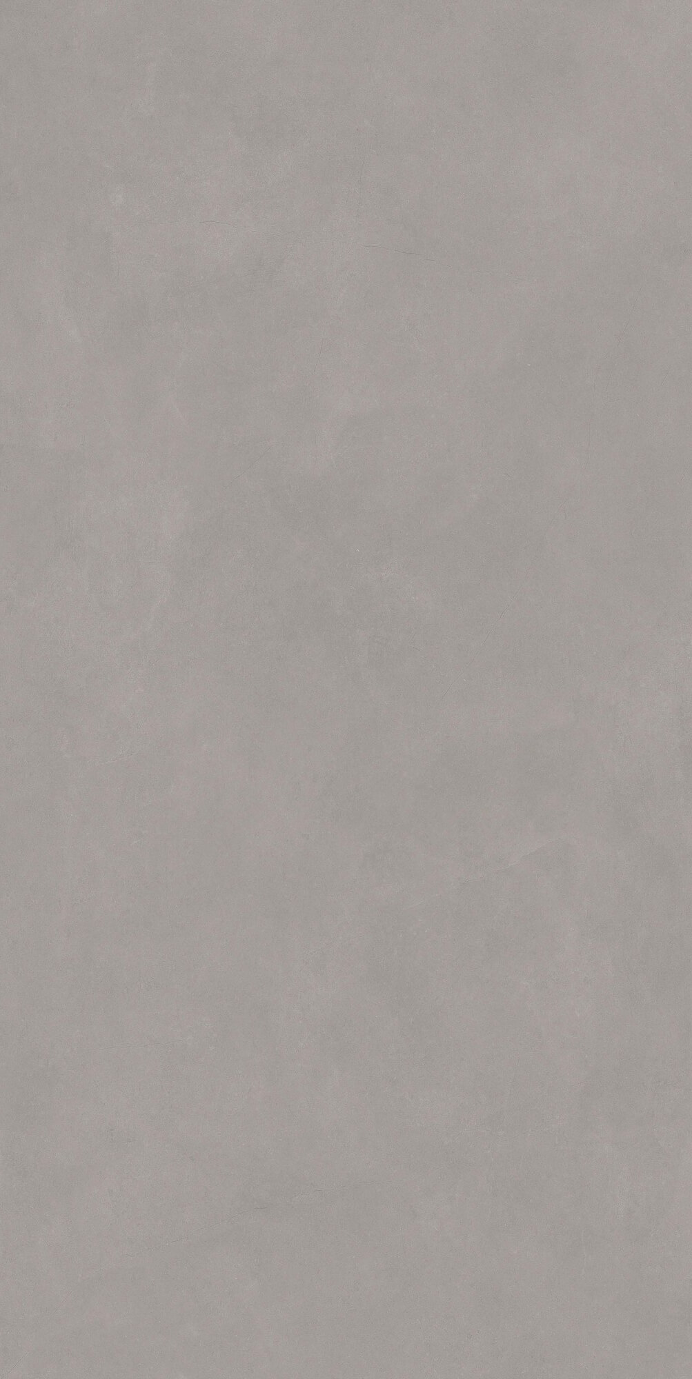 Sicilian medium gray RL9105 image 2
