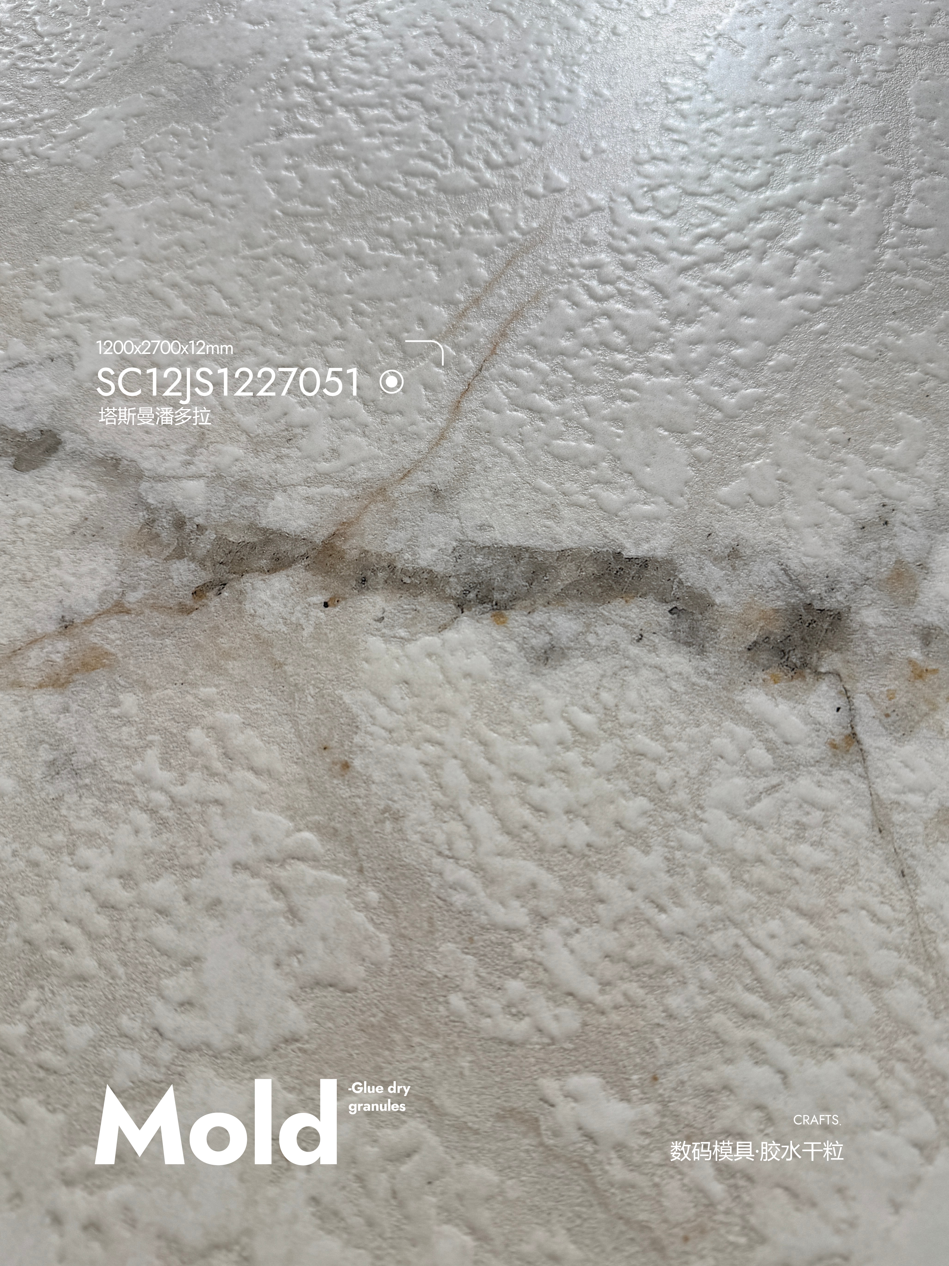 Tasman Pandora SC12JS1227051 image 4