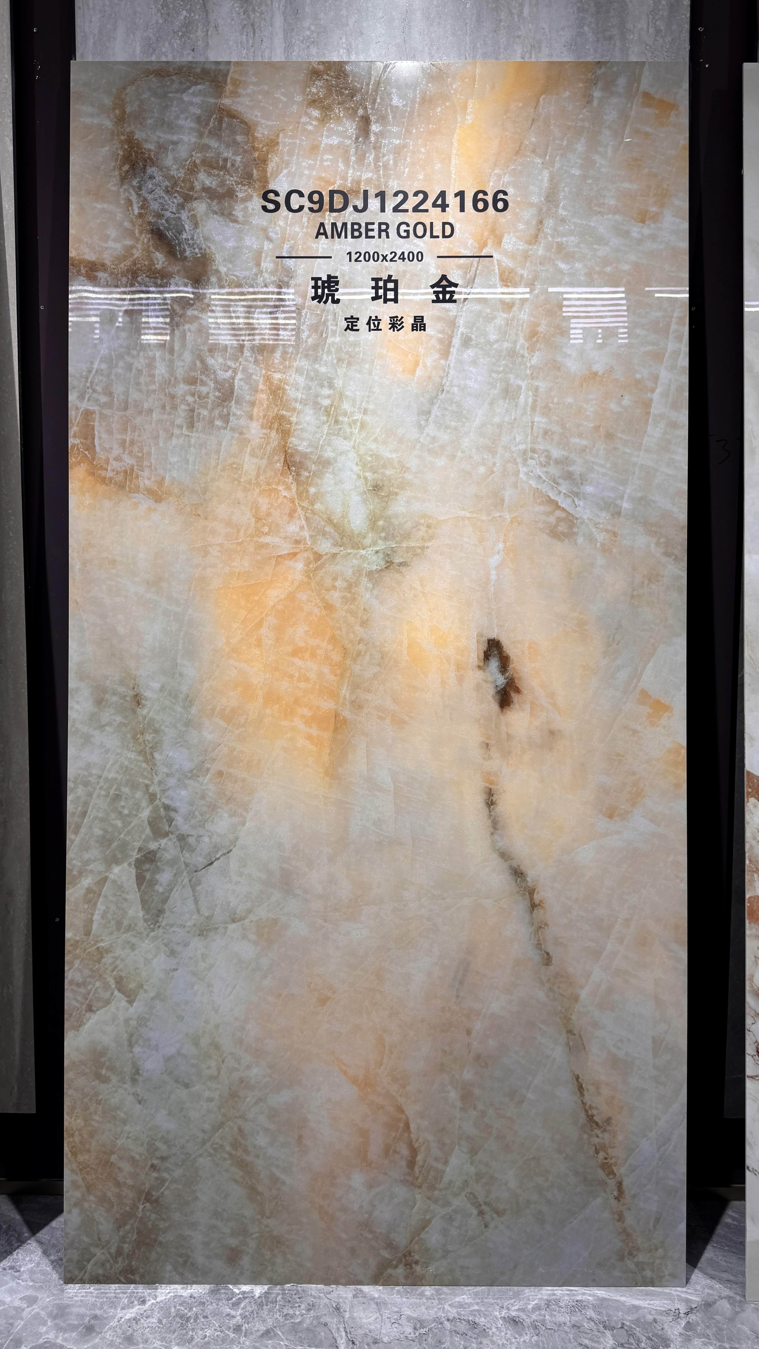 amber gold SC9DJ1224166 image 2