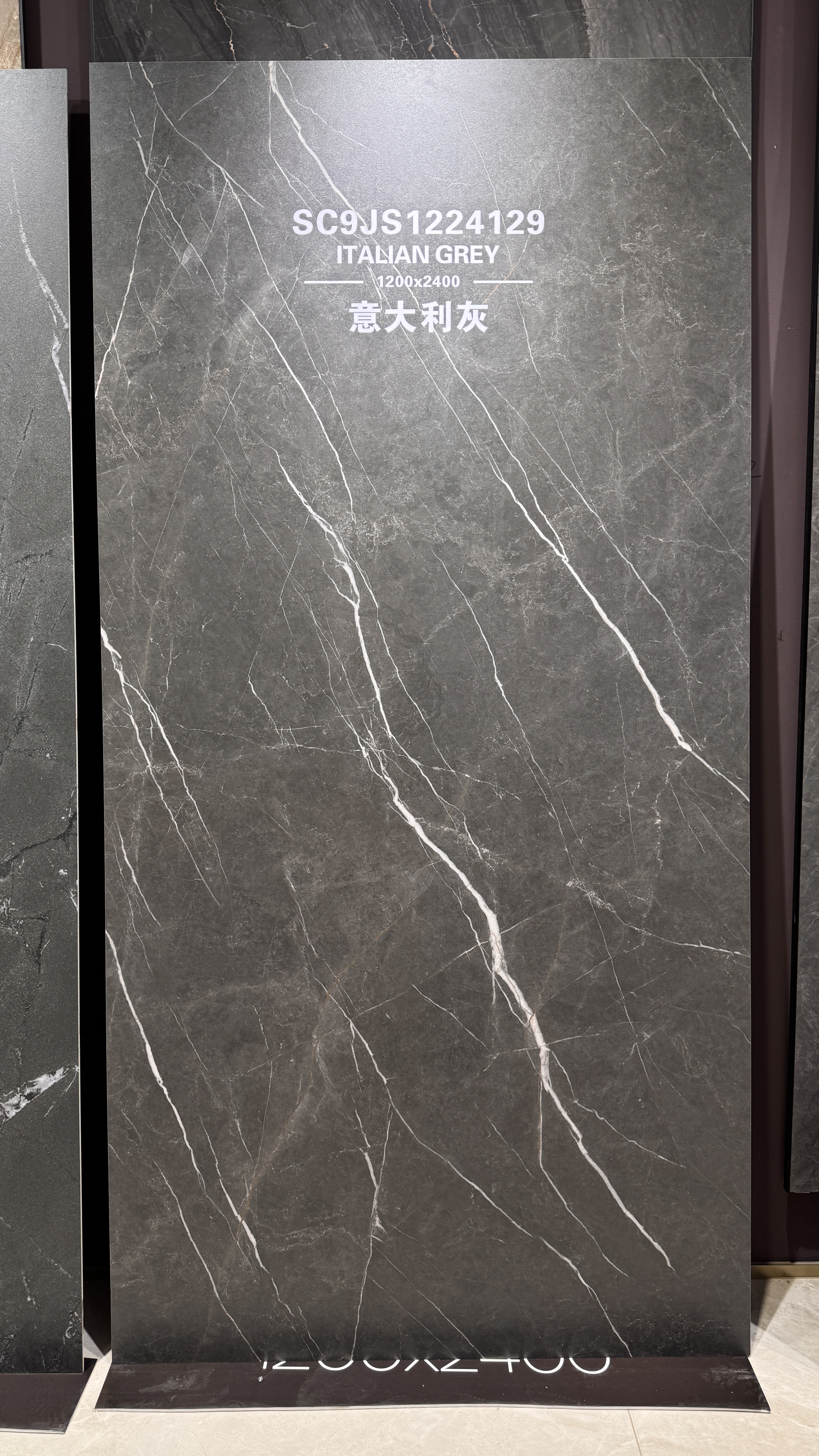 italian gray SC9JS1224129 image 2