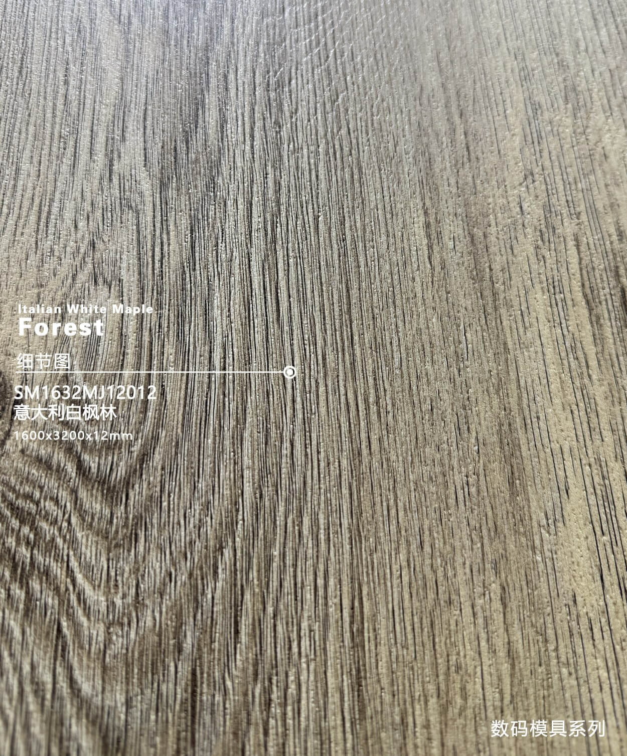 Italian white maple forest SM1632MJ12012 image 3