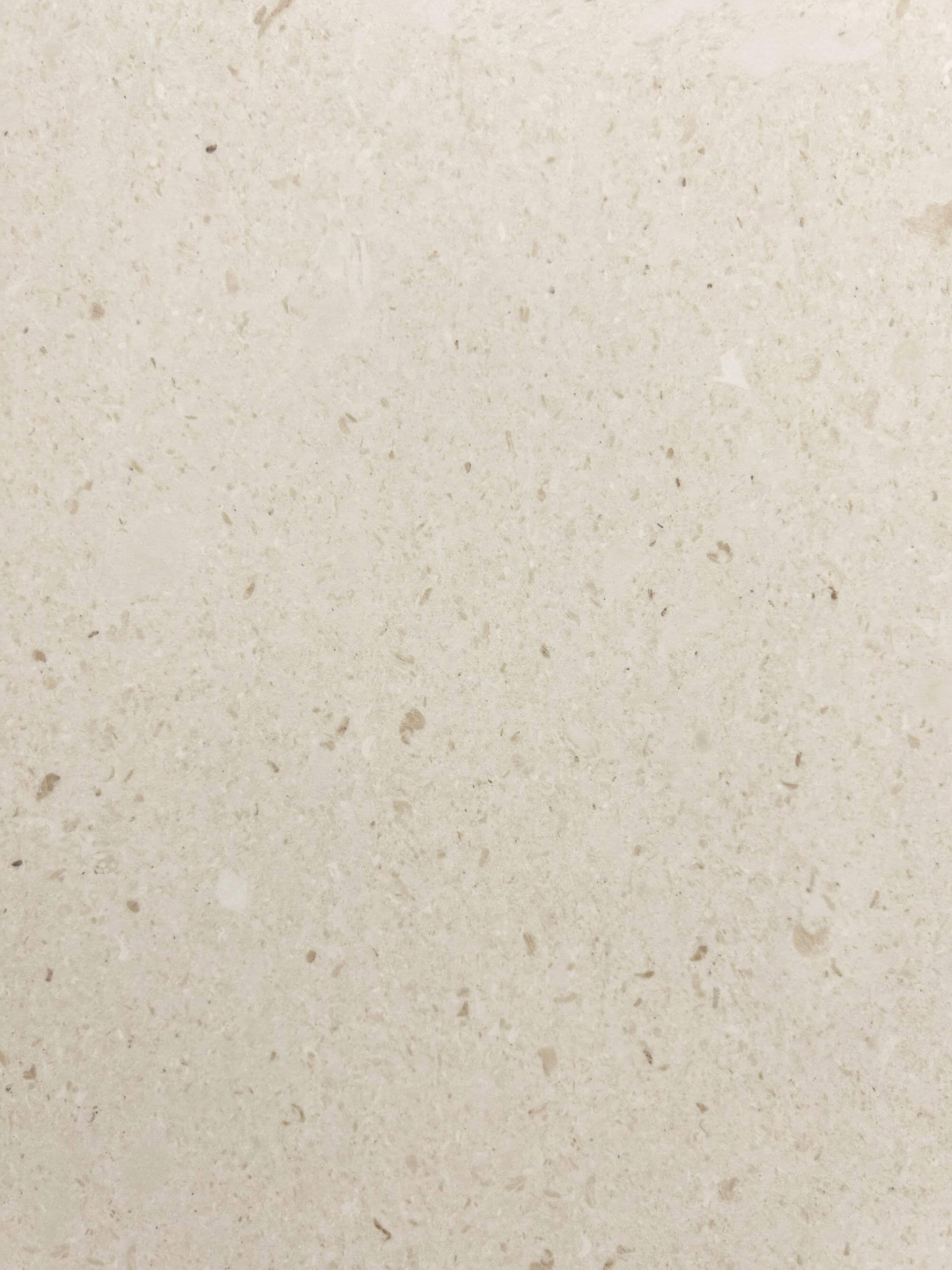 Beige beige SW124088 image 3