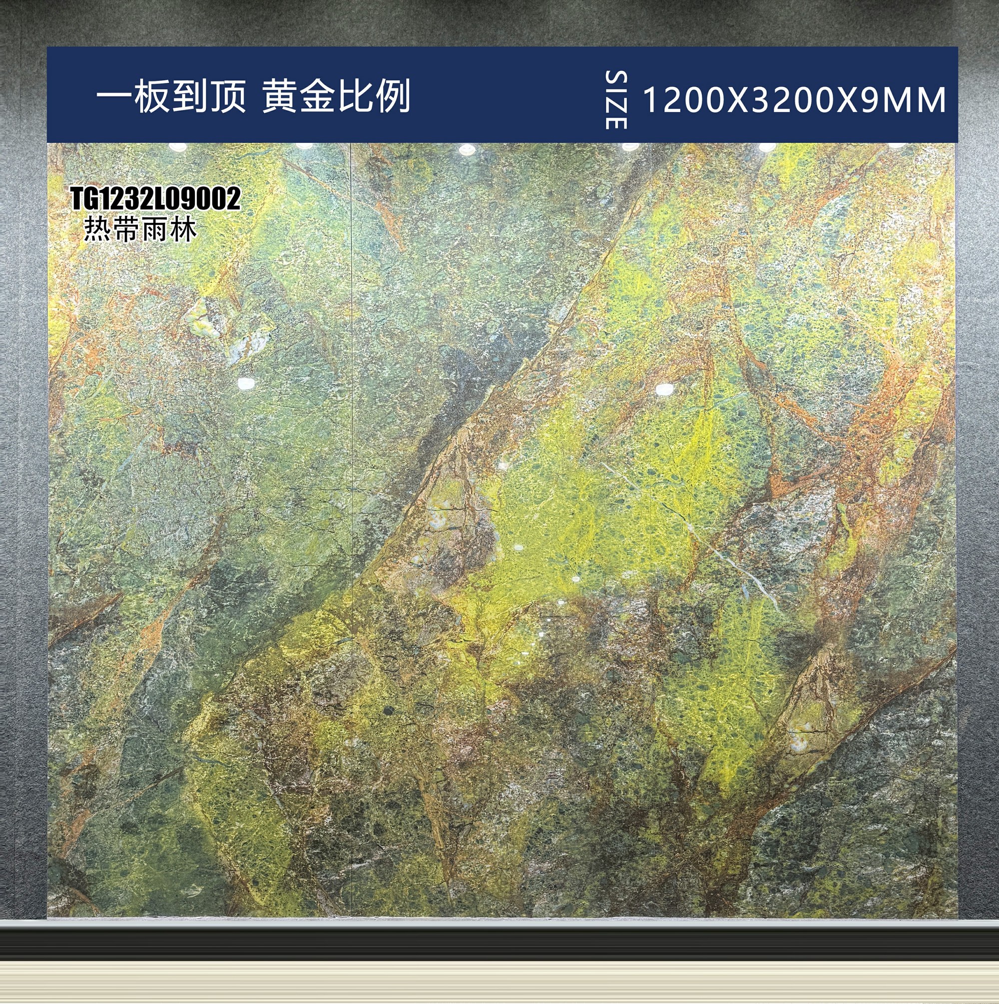 热带雨林 TG1232L09002 image 3