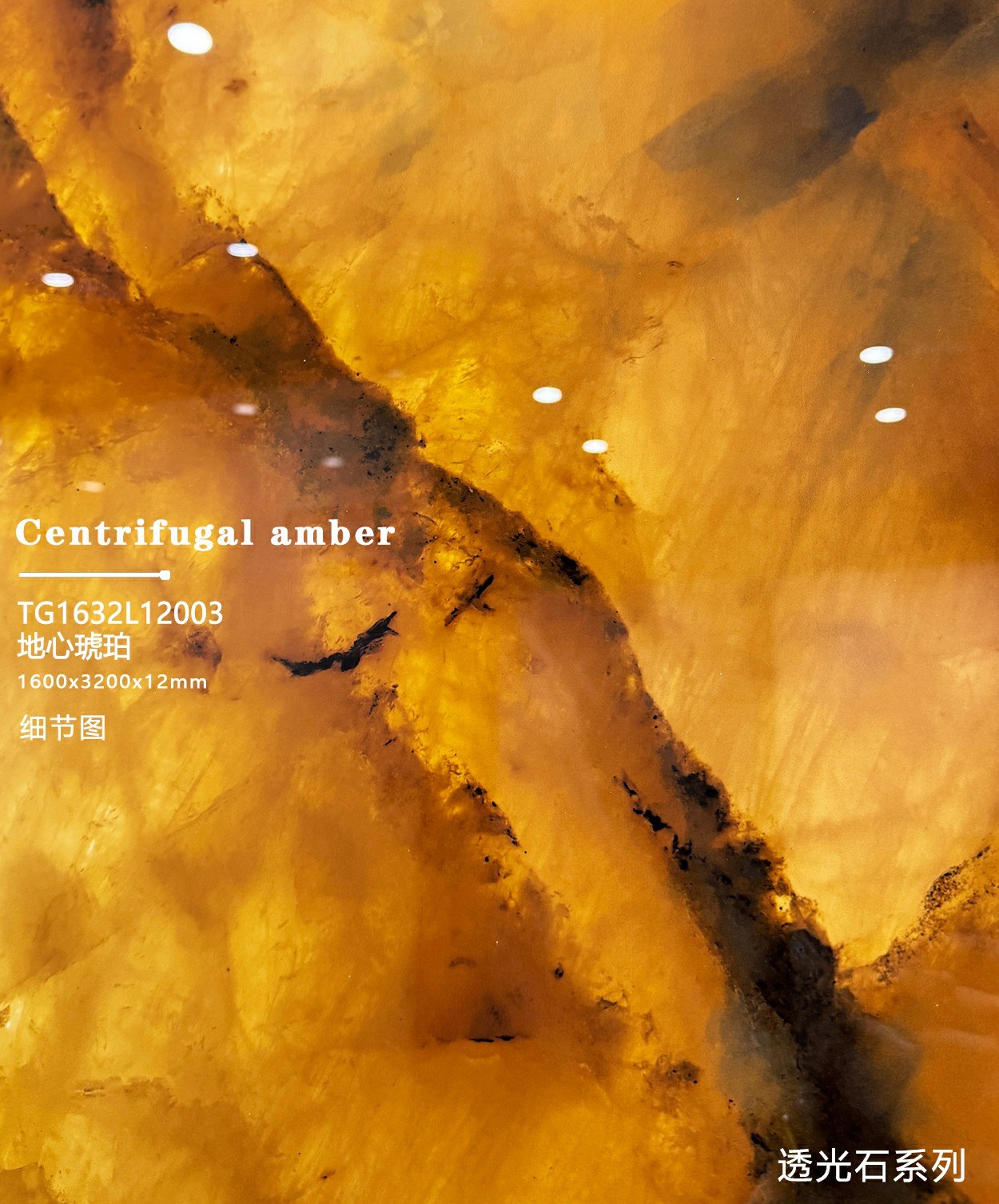 호박색 TG1632L12003 image 3