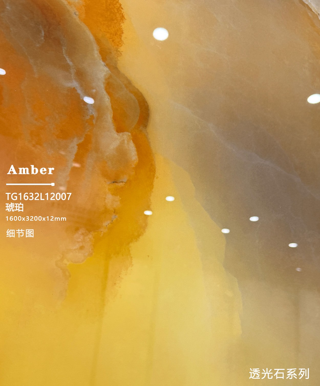 amber TG1632L12007 image 3