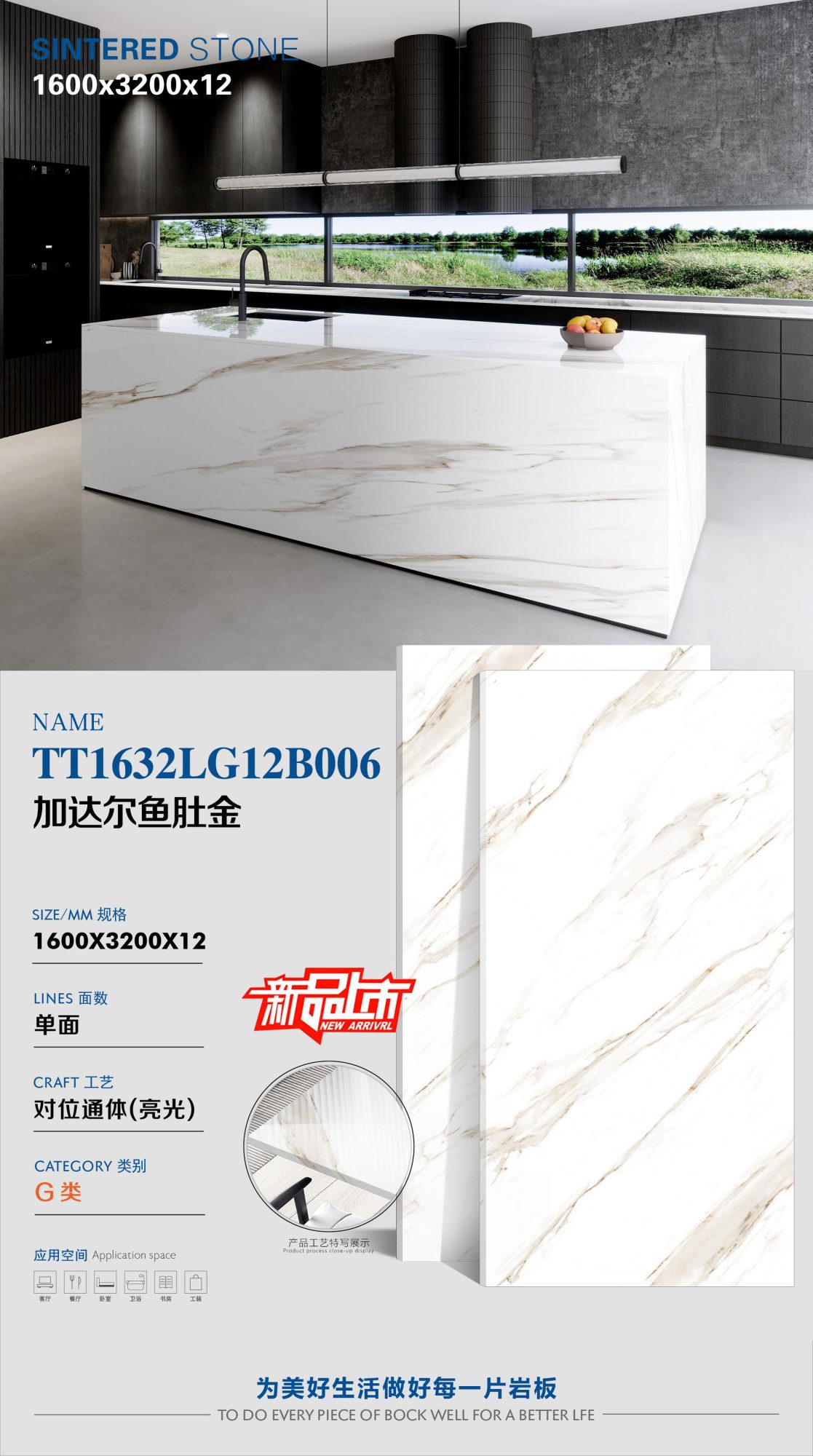 Gadar pancia di pesce d'oro TT1632LG12B006 image 1