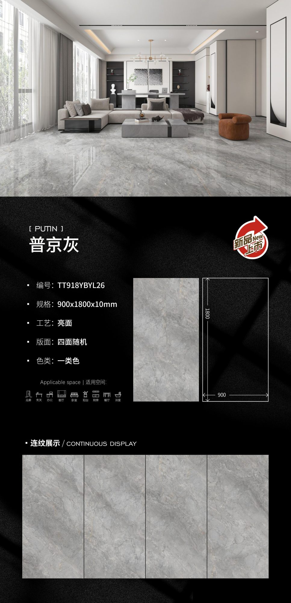 Putin Gray TT918YBYL26 image 1