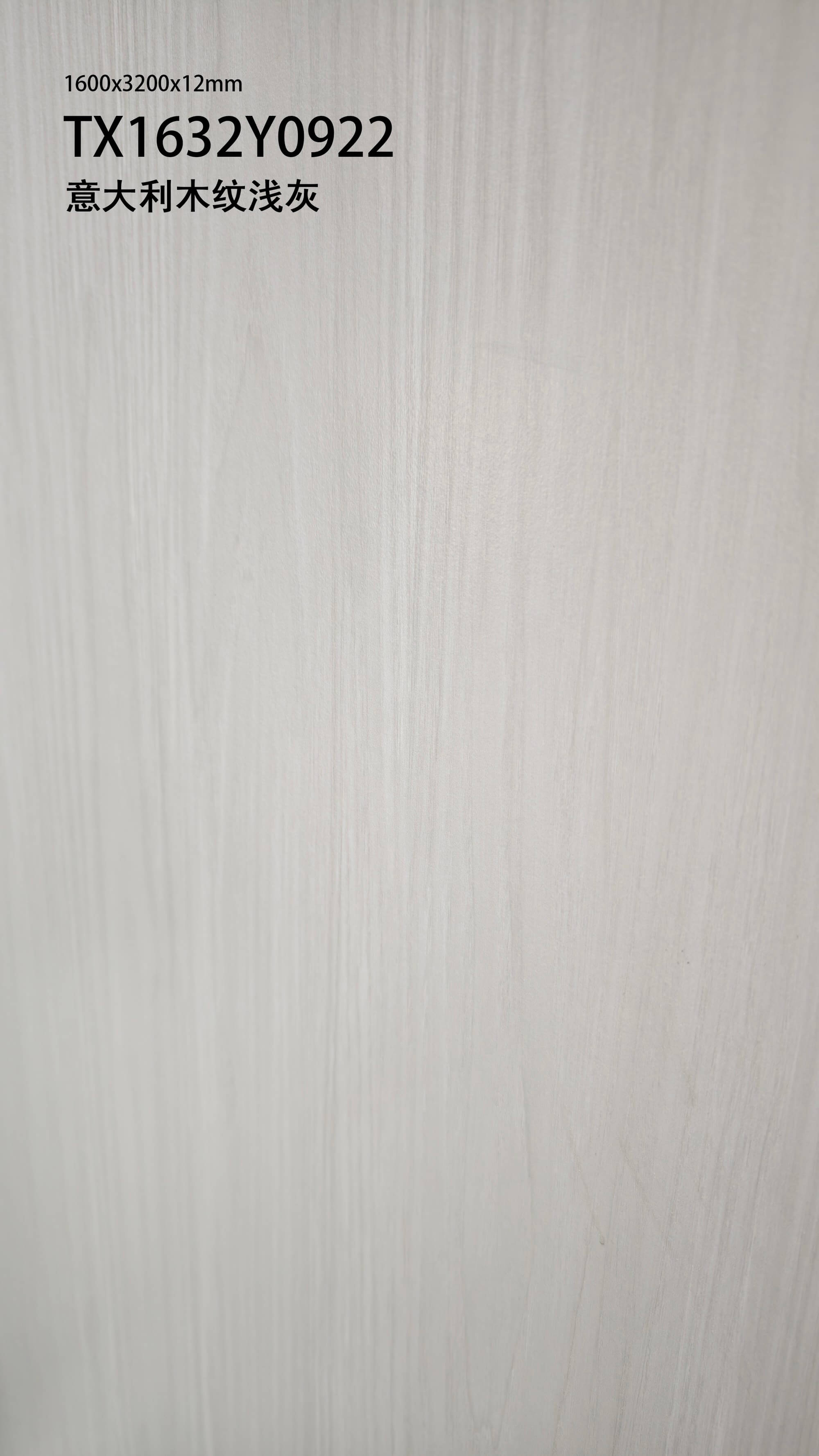Italian wood grain light gray TX1632Y0922 image 3