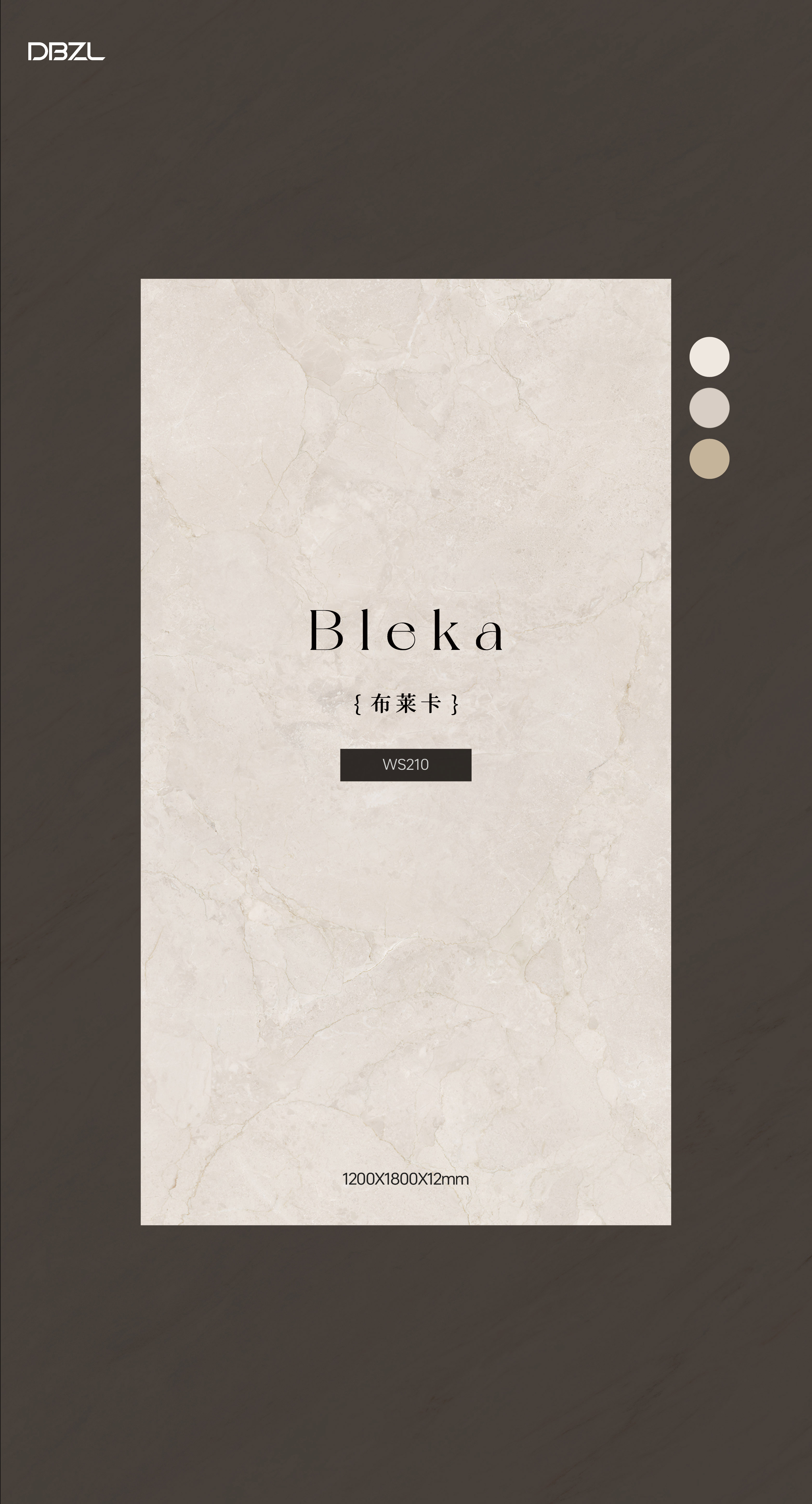 Blacka WS210 image 2
