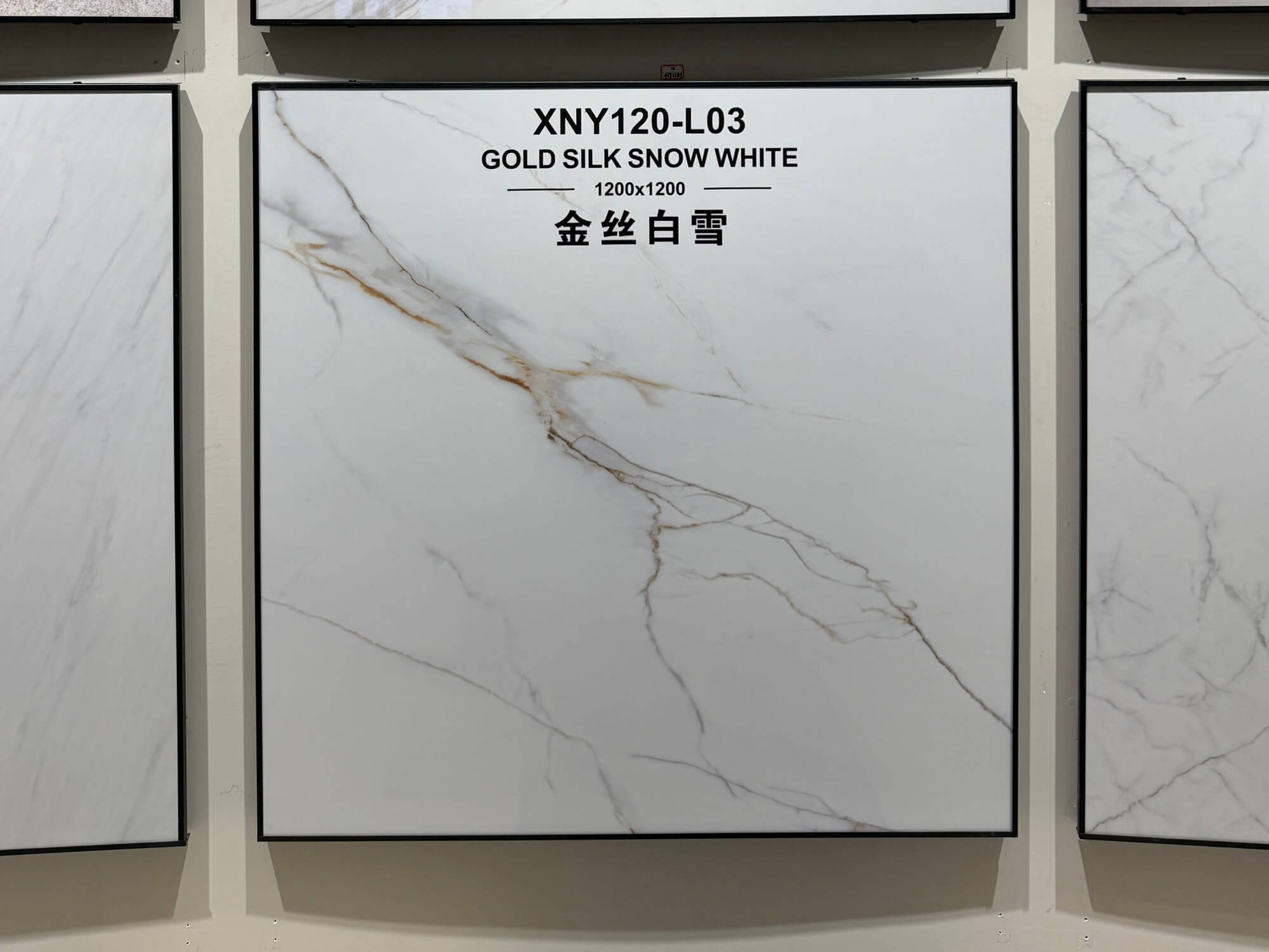 golden snow XNY120L03 image 2