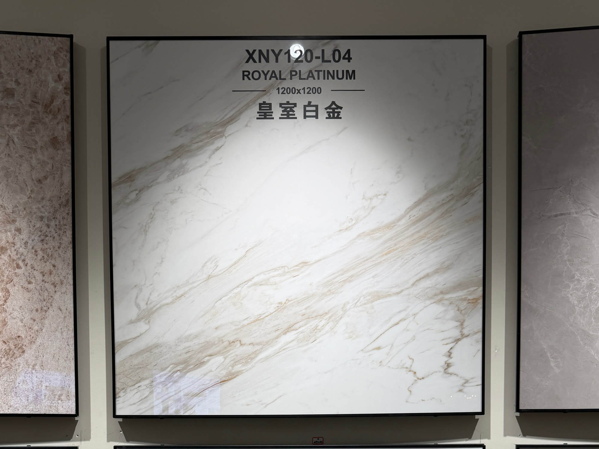 royal platinum XNY120L04 image 2