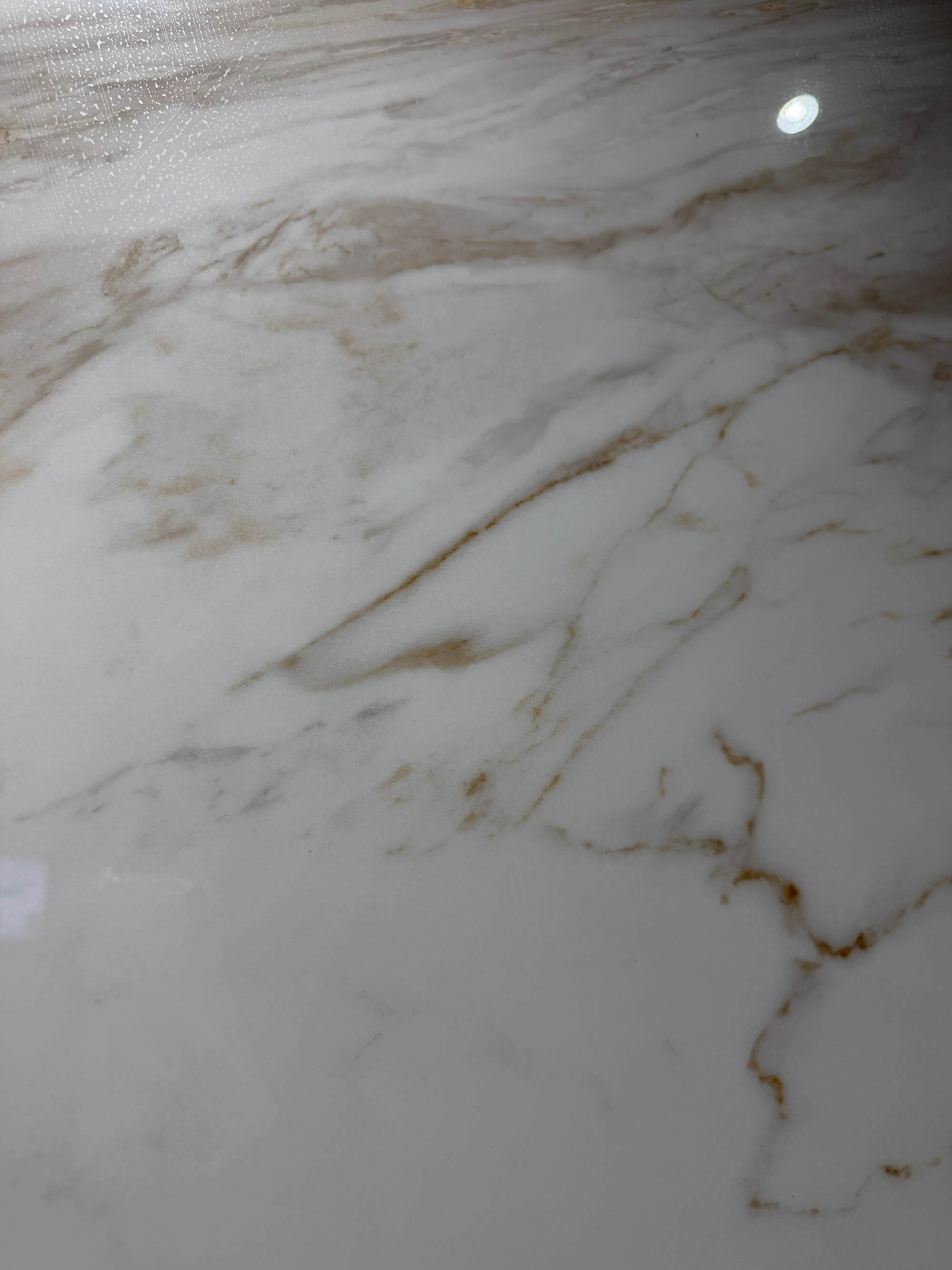 royal platinum XNY120L04 image 3