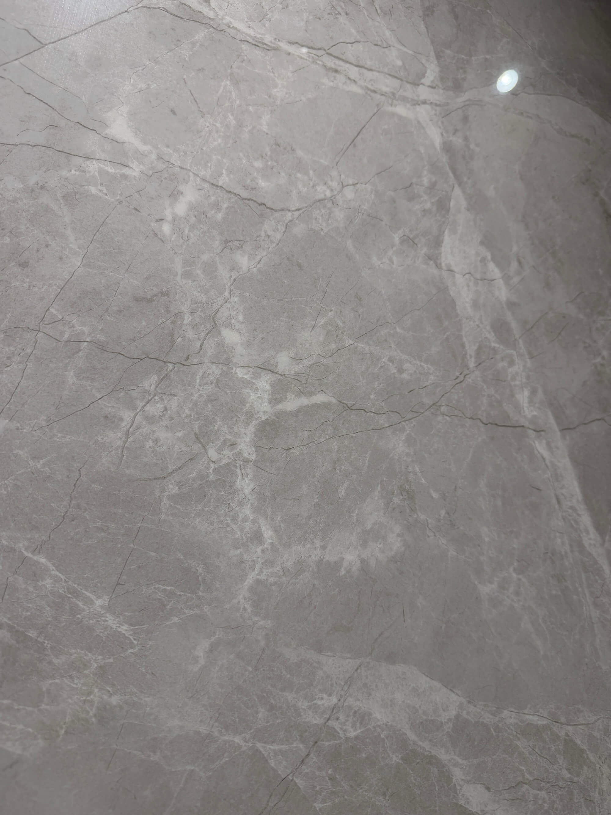 Jingya gray XNY120L33 image 3