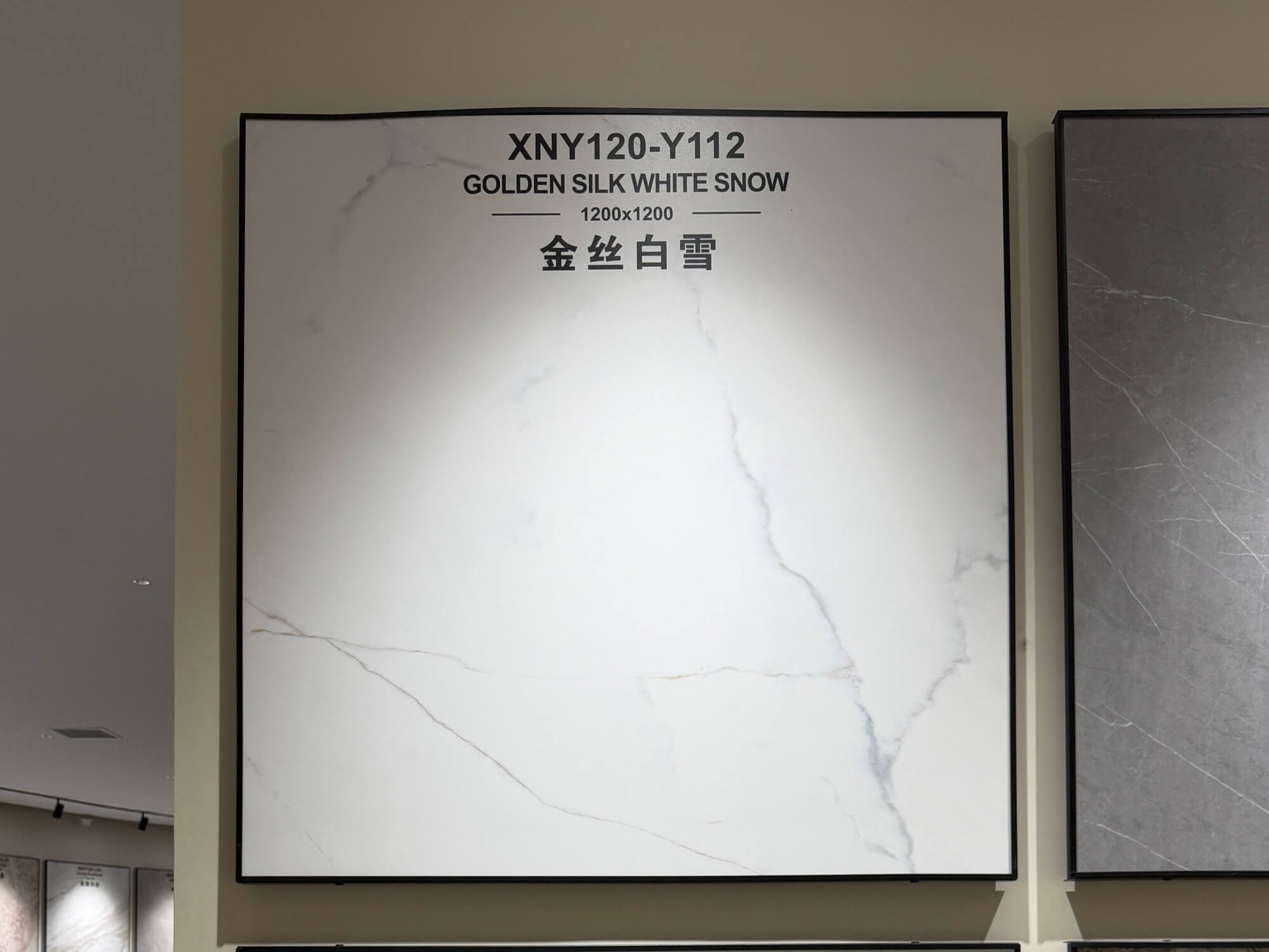 golden snow XNY120Y112 image 2