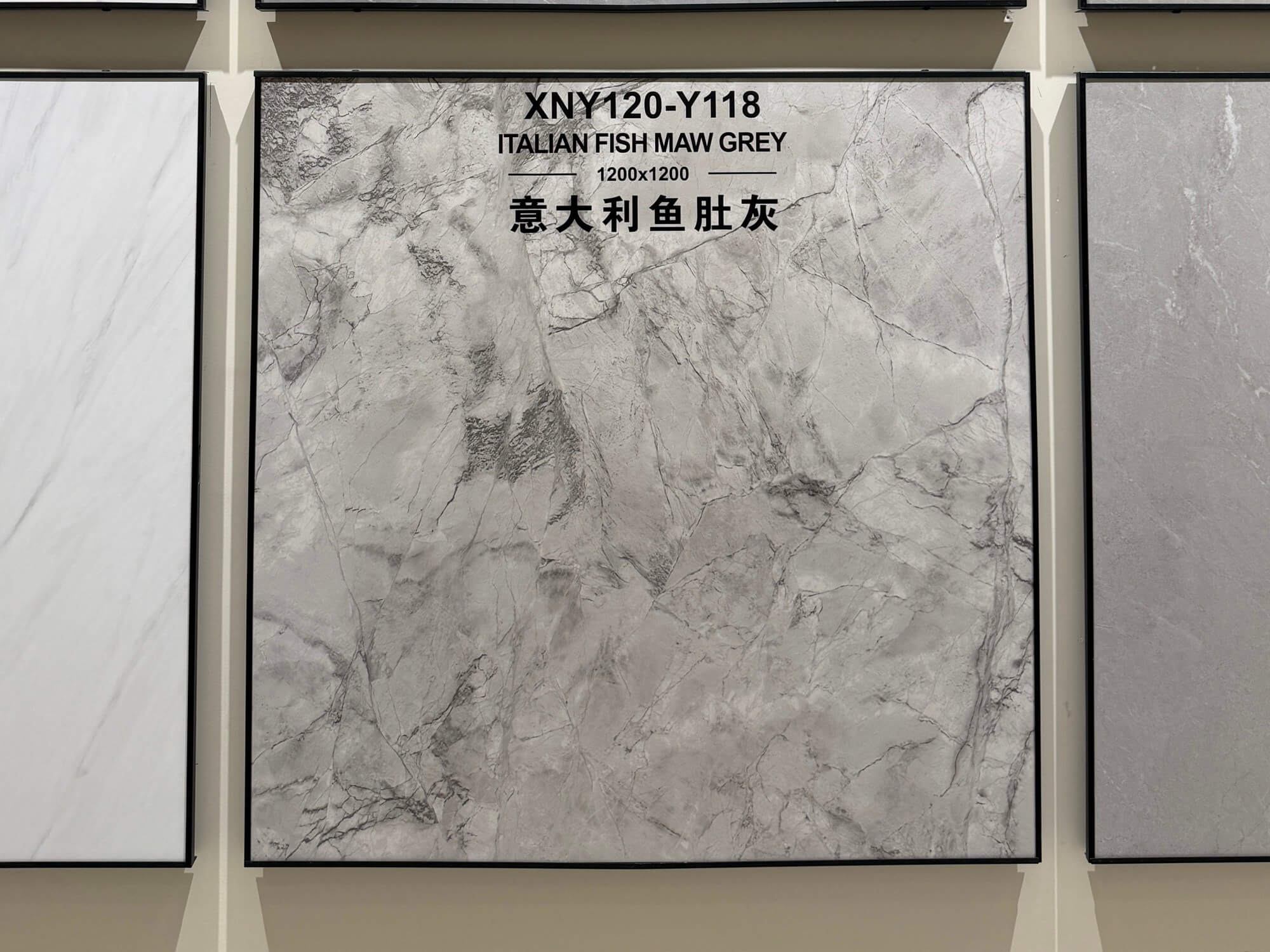 Italian fish maw gray XNY120Y118 image 2