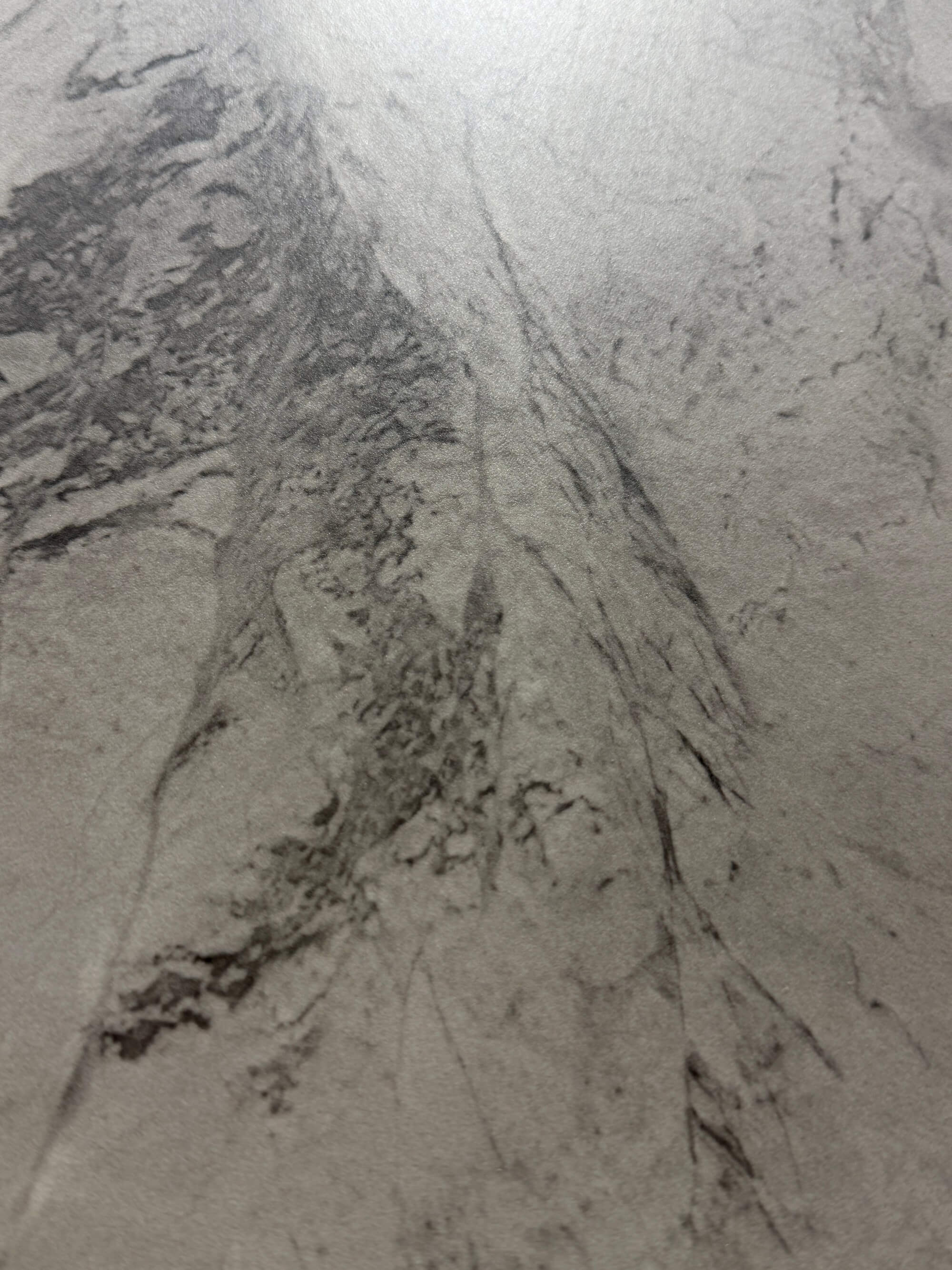 Italian fish maw gray XNY120Y118 image 3