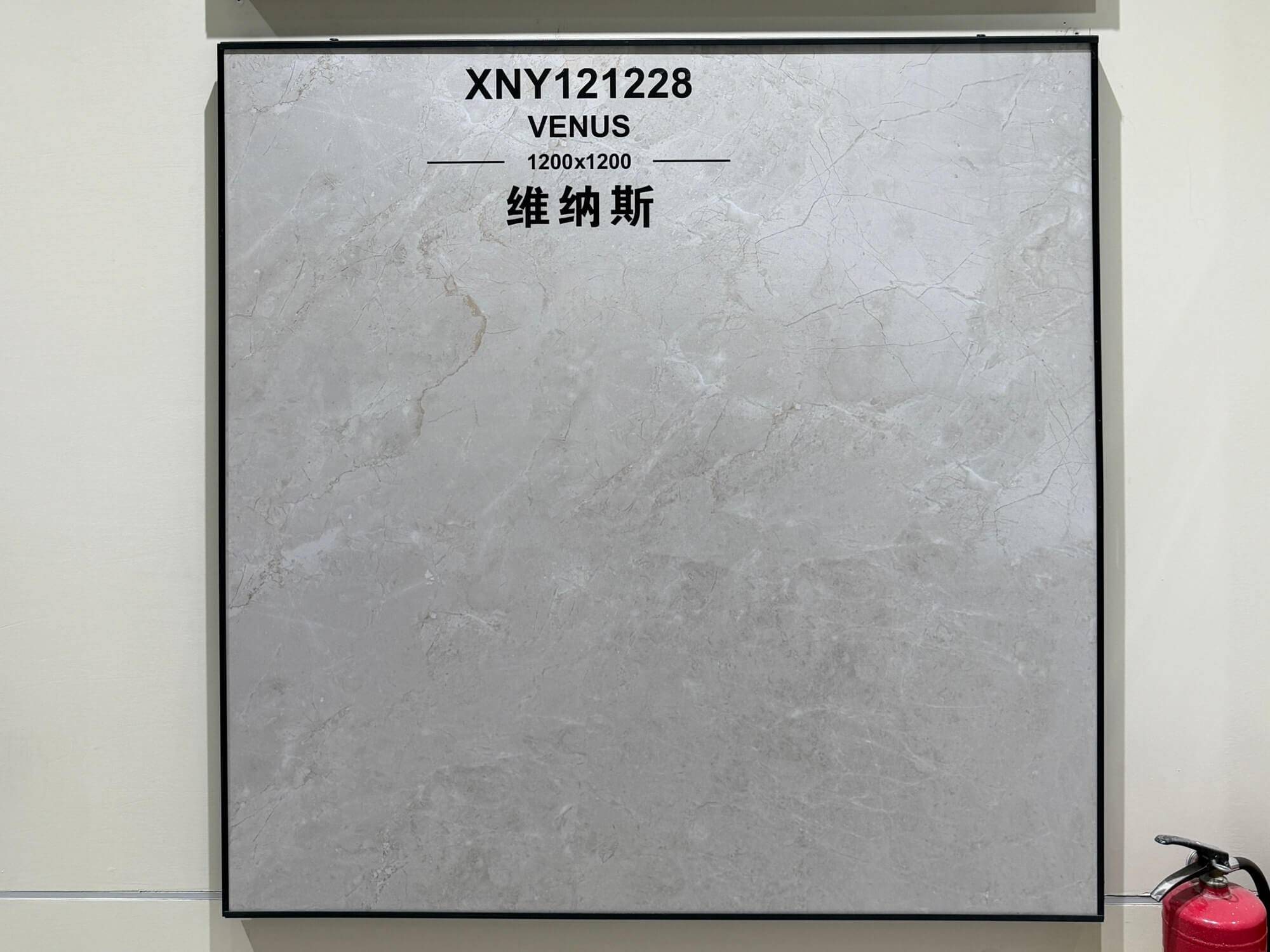 Venus XNY1228 image 2