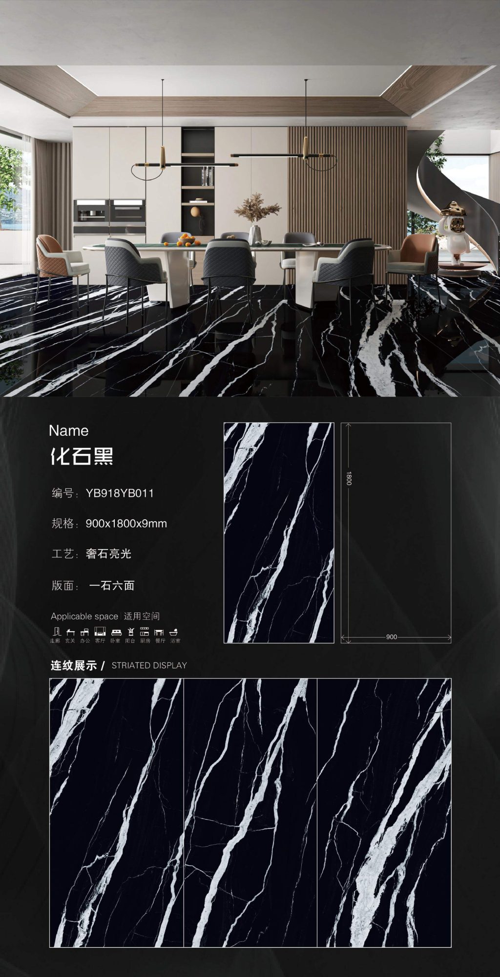 검은색 화석 YB918YB011 image 1