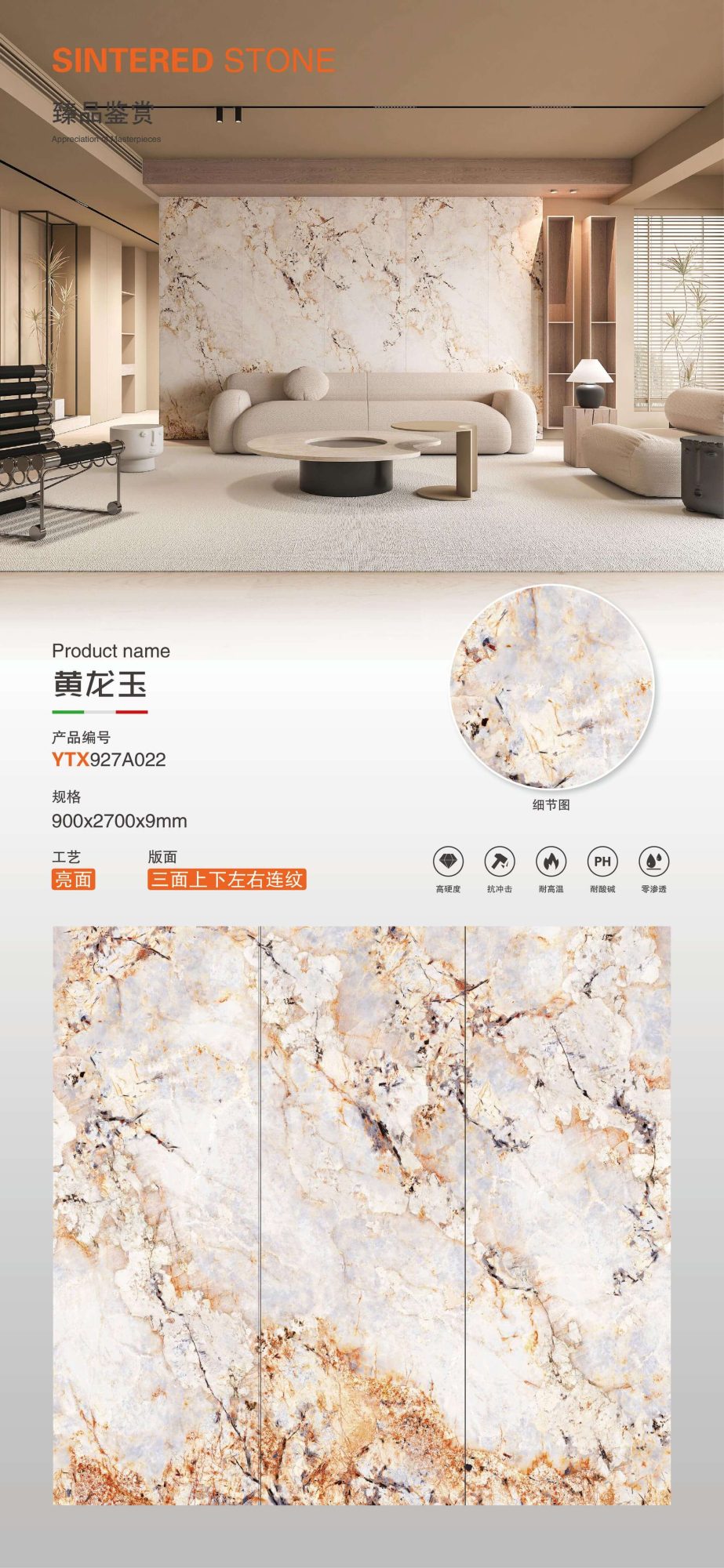 Huanglongyu YTX927A022 image 1